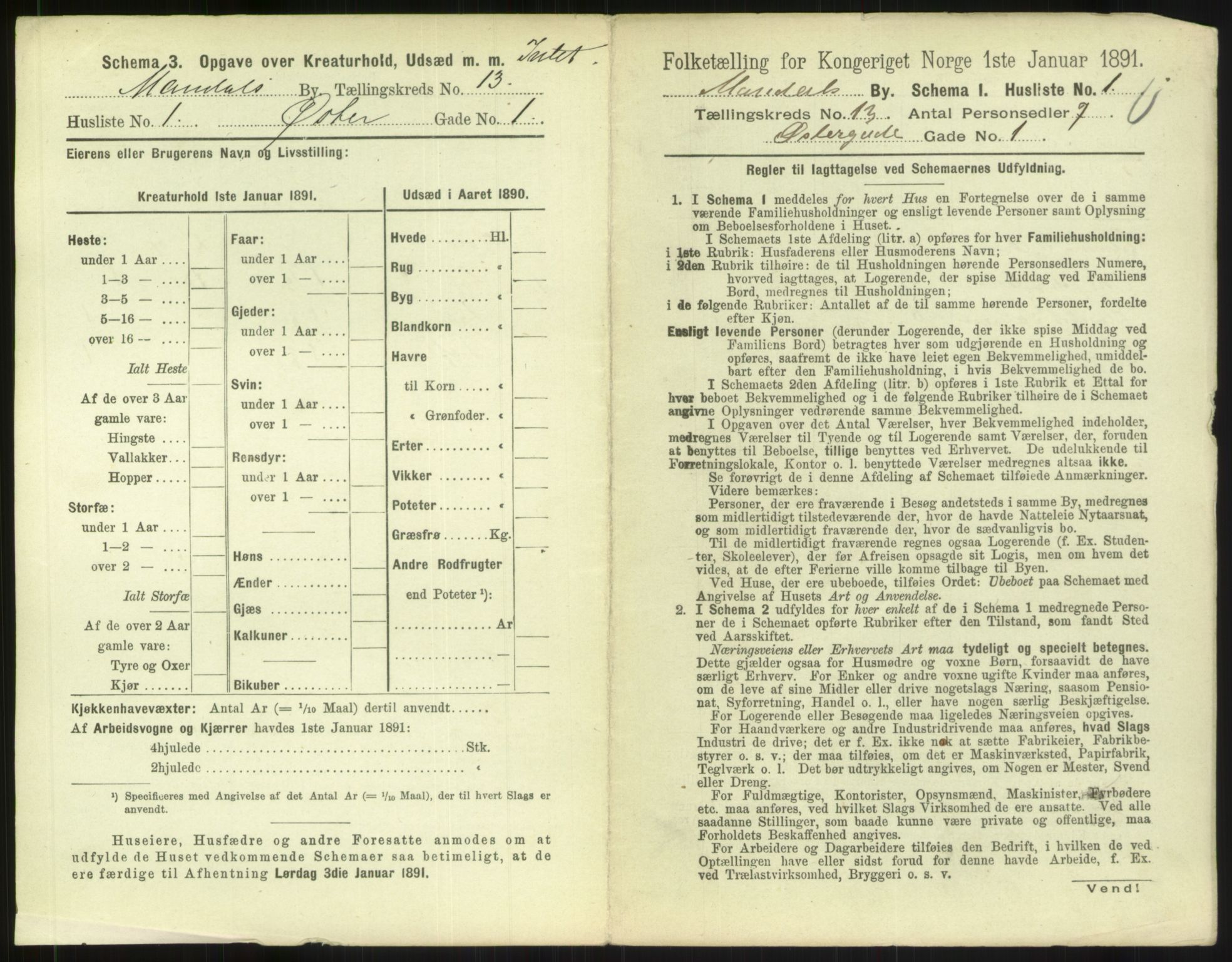 RA, Folketelling 1891 for 1002 Mandal ladested, 1891, s. 585