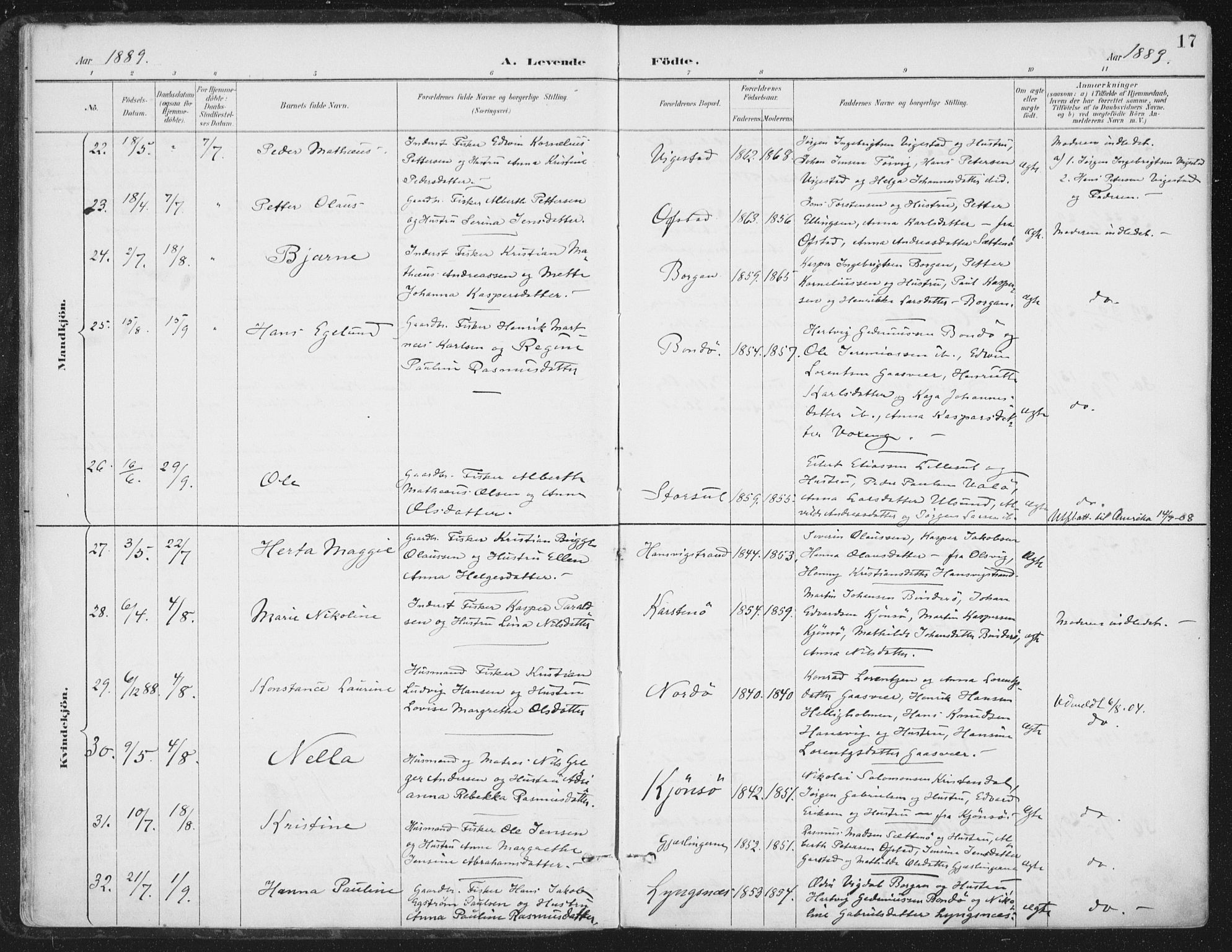 Ministerialprotokoller, klokkerbøker og fødselsregistre - Nord-Trøndelag, SAT/A-1458/786/L0687: Ministerialbok nr. 786A03, 1888-1898, s. 17