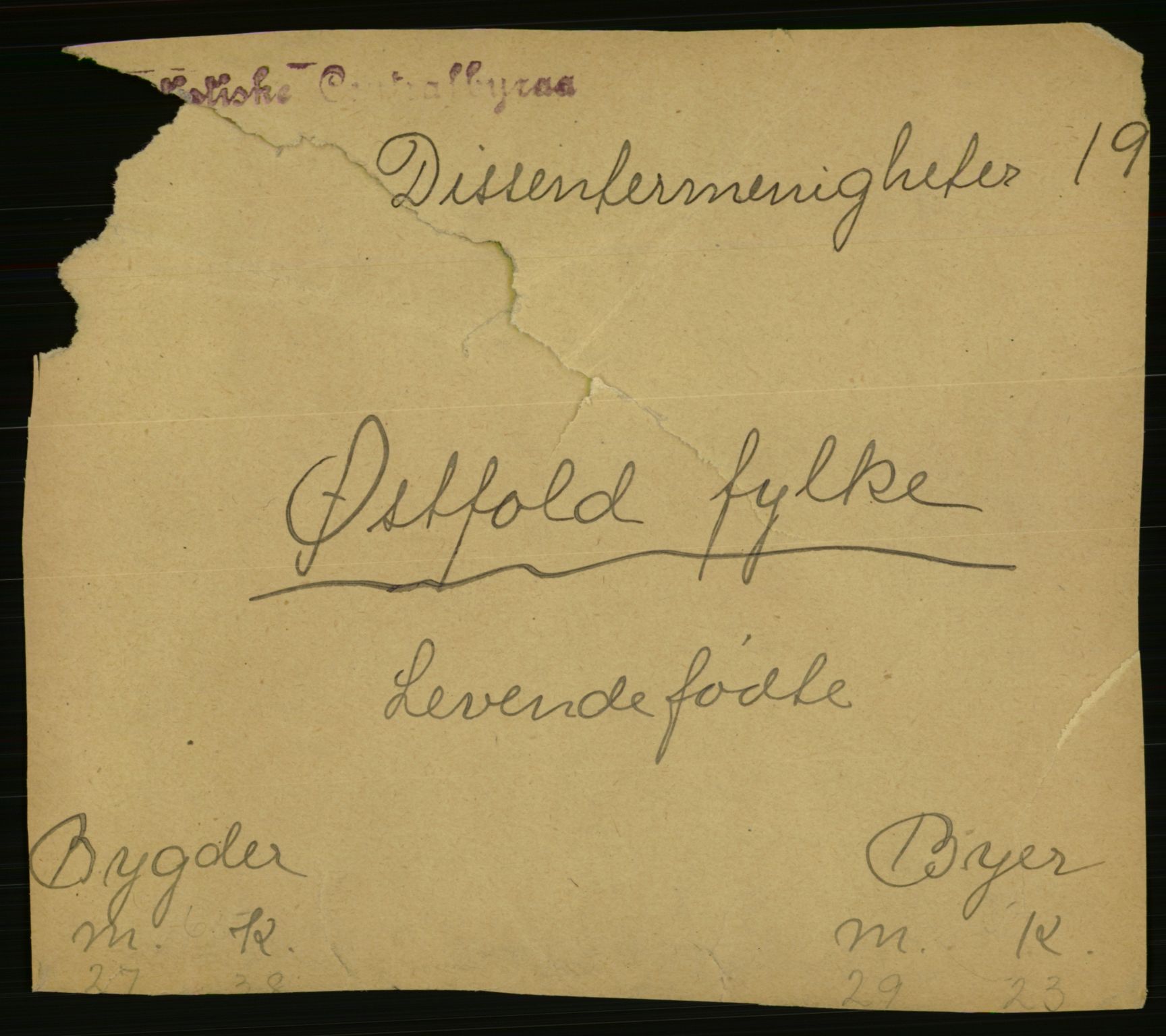 Statistisk sentralbyrå, Sosiodemografiske emner, Befolkning, RA/S-2228/E/L0021: Fødte, gifte, døde dissentere., 1923, s. 3