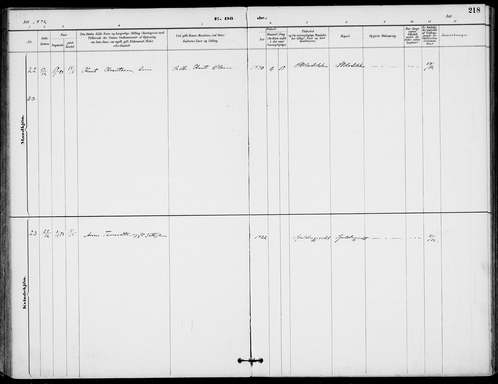 Gol kirkebøker, AV/SAKO-A-226/F/Fa/L0005: Ministerialbok nr. I 5, 1887-1900, s. 218