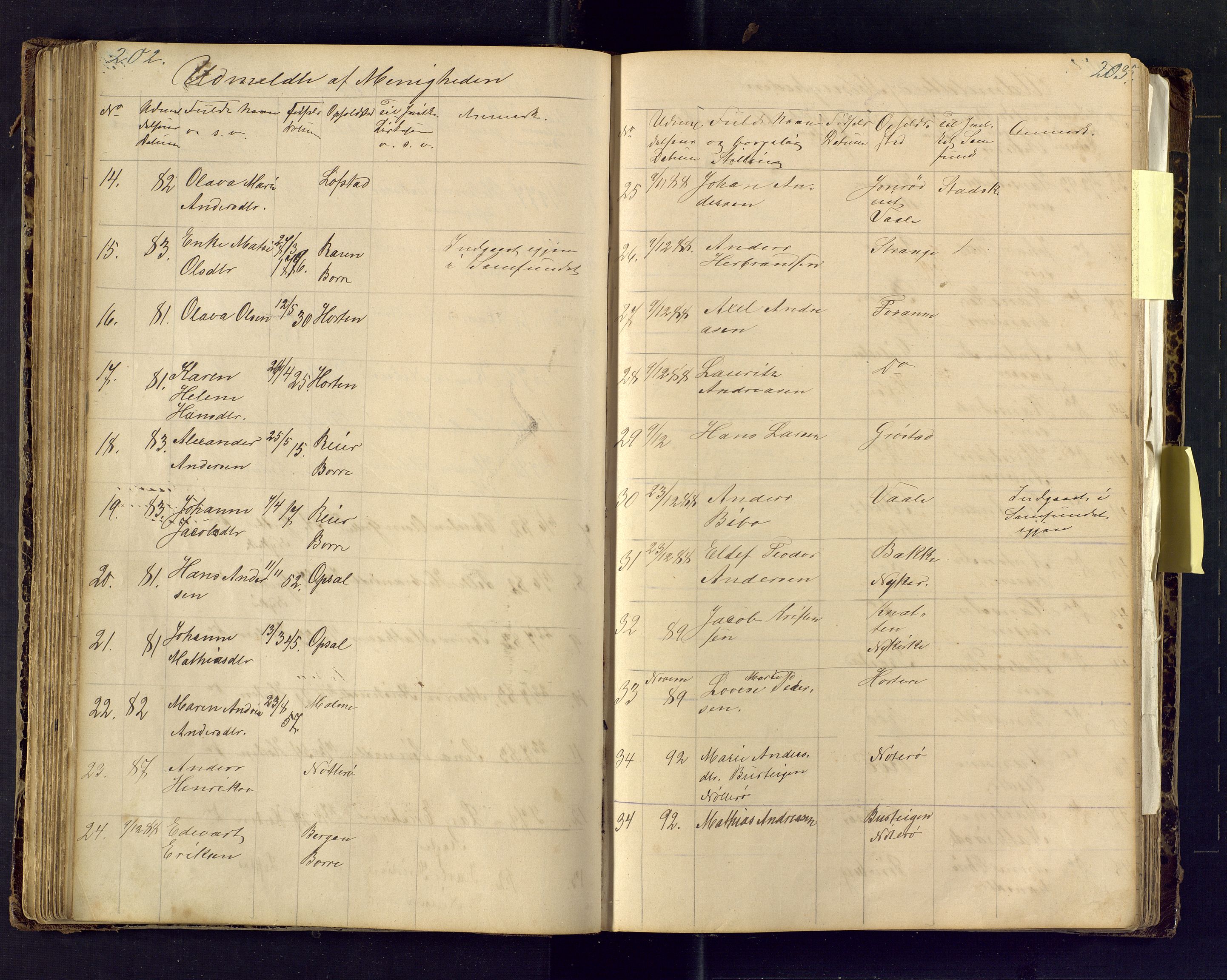 Den evangelisk lutherske frimenighet i Jarlsbergs grevskap med flere steder, AV/SAKO-P-1384/F/Fa/L0001: Dissenterprotokoll nr. Fa/L0001, 1872-1925, s. 202-203