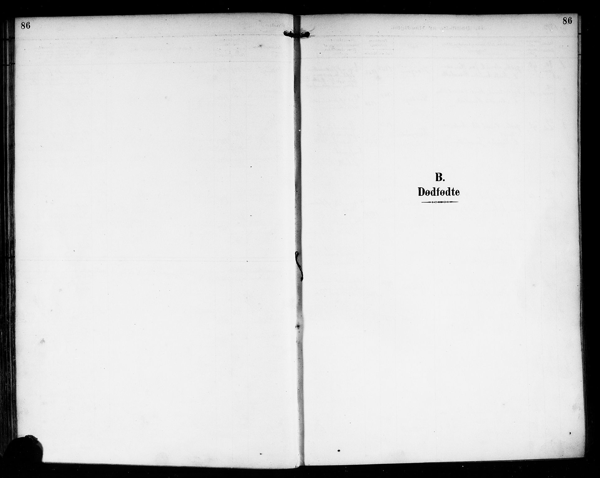 Nedre Eiker kirkebøker, SAKO/A-612/F/Fa/L0004: Ministerialbok nr. 4, 1893-1898, s. 86