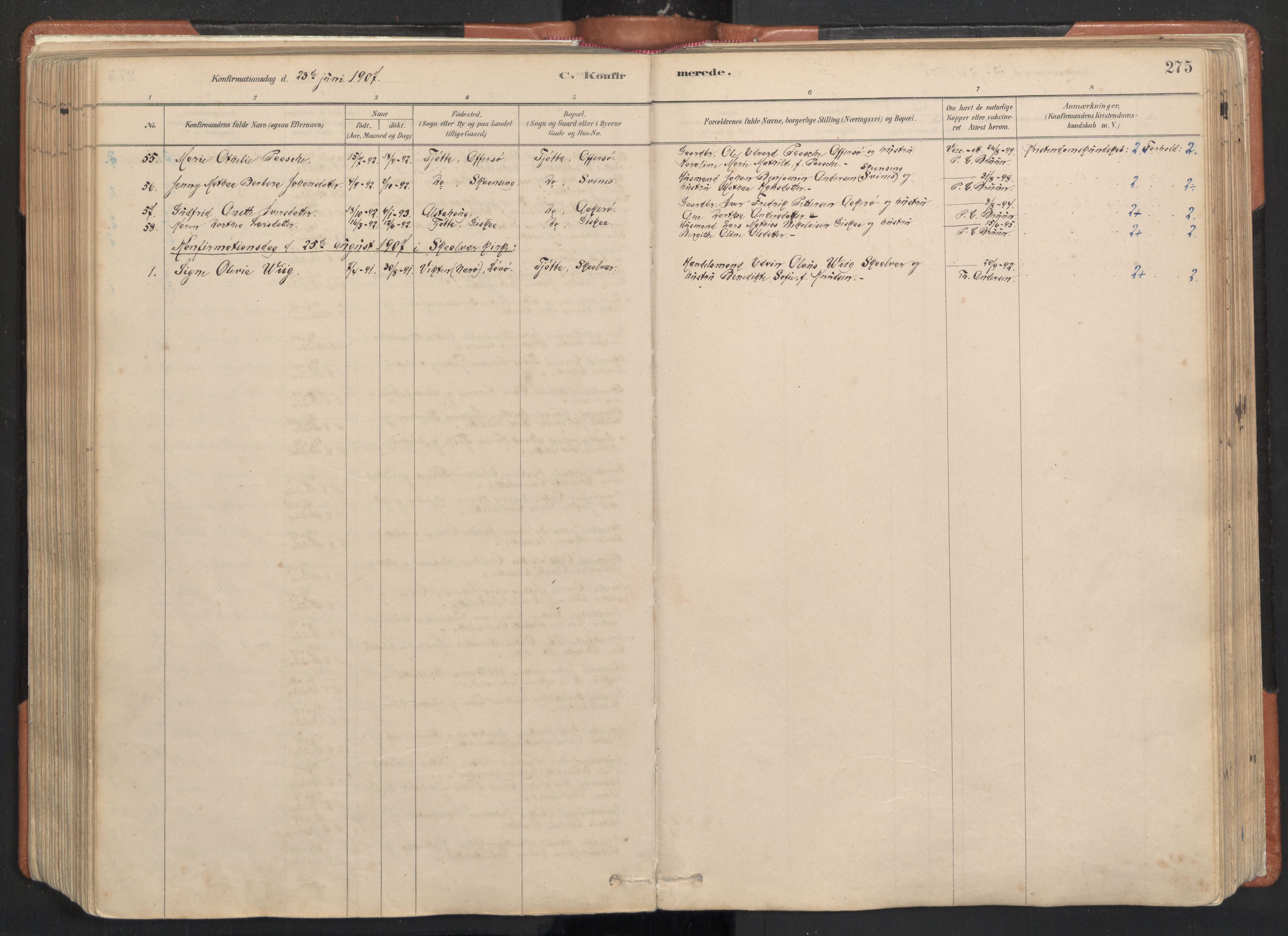 Ministerialprotokoller, klokkerbøker og fødselsregistre - Nordland, AV/SAT-A-1459/817/L0264: Ministerialbok nr. 817A04, 1878-1907, s. 275