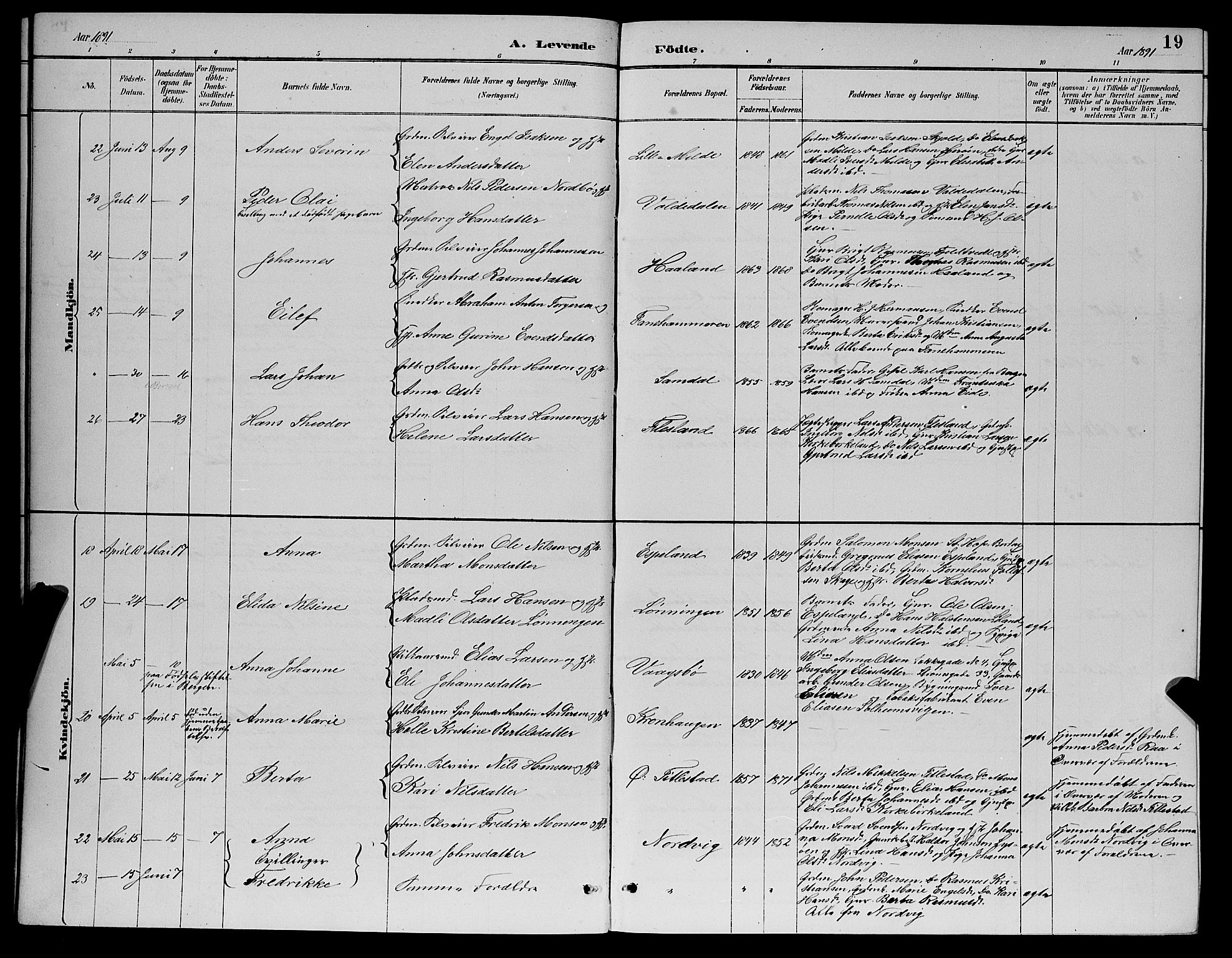 Fana Sokneprestembete, AV/SAB-A-75101/H/Hab/Haba/L0002: Klokkerbok nr. A 2, 1889-1895, s. 19