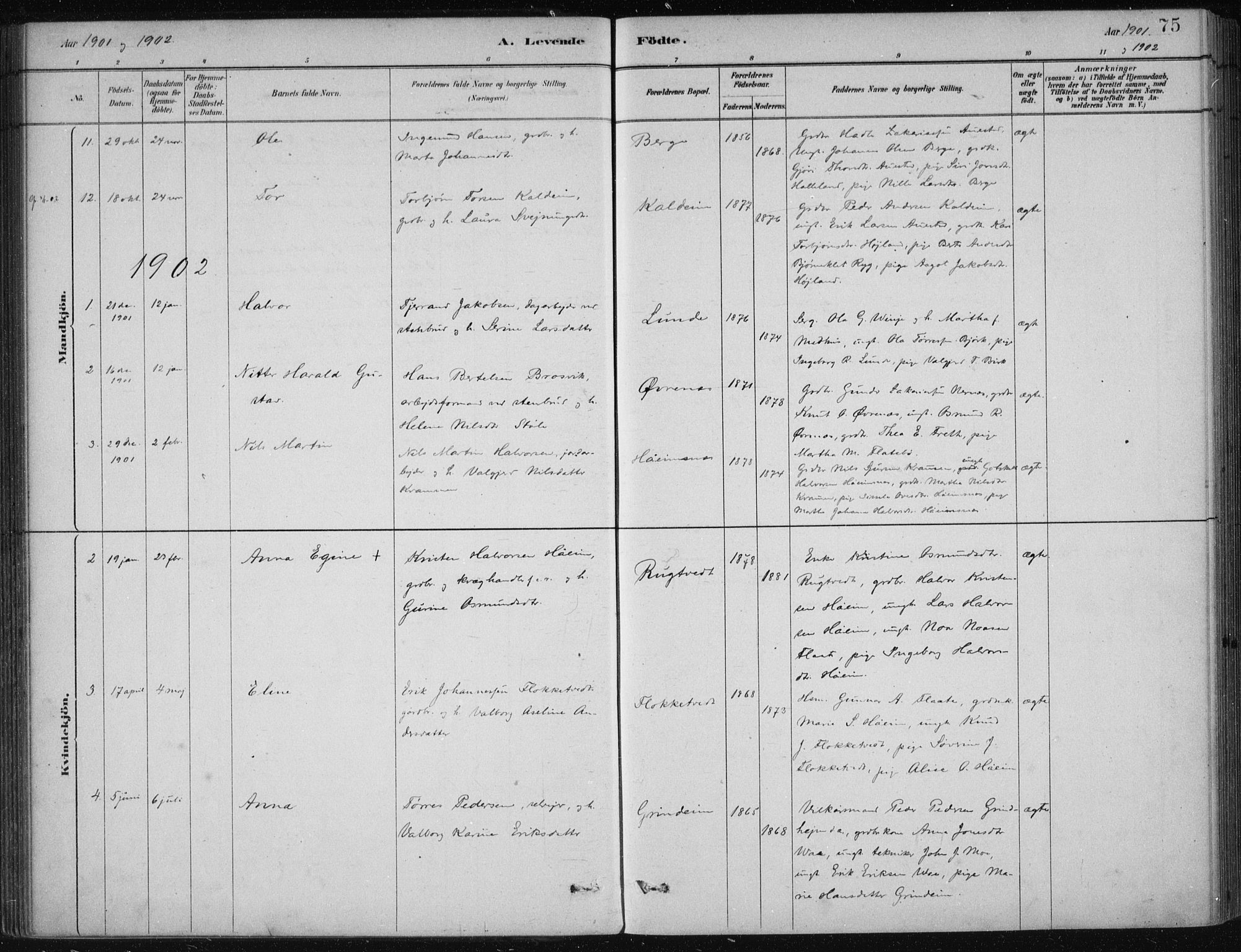 Etne sokneprestembete, AV/SAB-A-75001/H/Haa: Ministerialbok nr. D  1, 1879-1919, s. 75