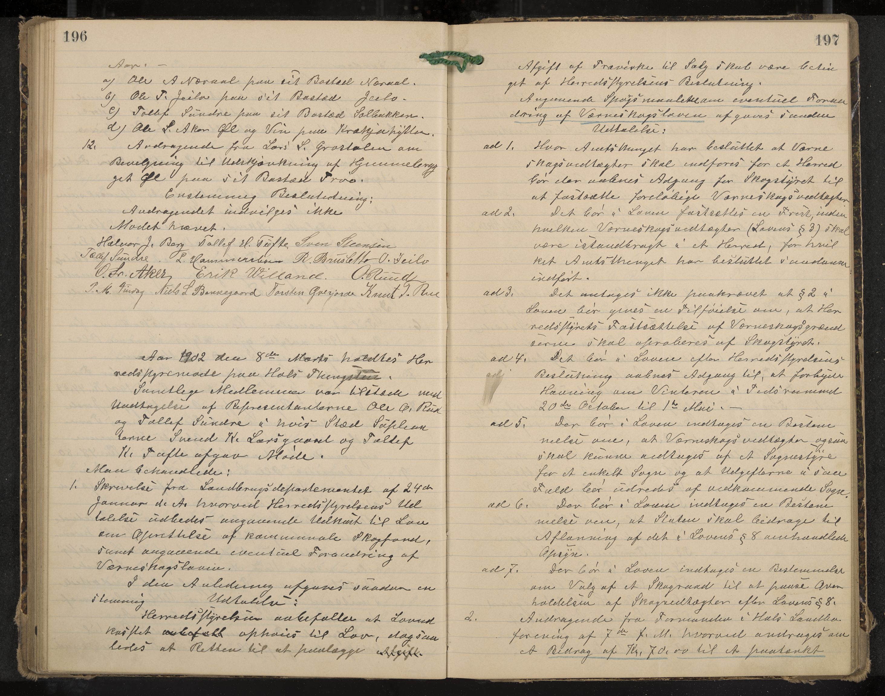 Hol formannskap og sentraladministrasjon, IKAK/0620021-1/A/L0003: Møtebok, 1897-1904, s. 196-197