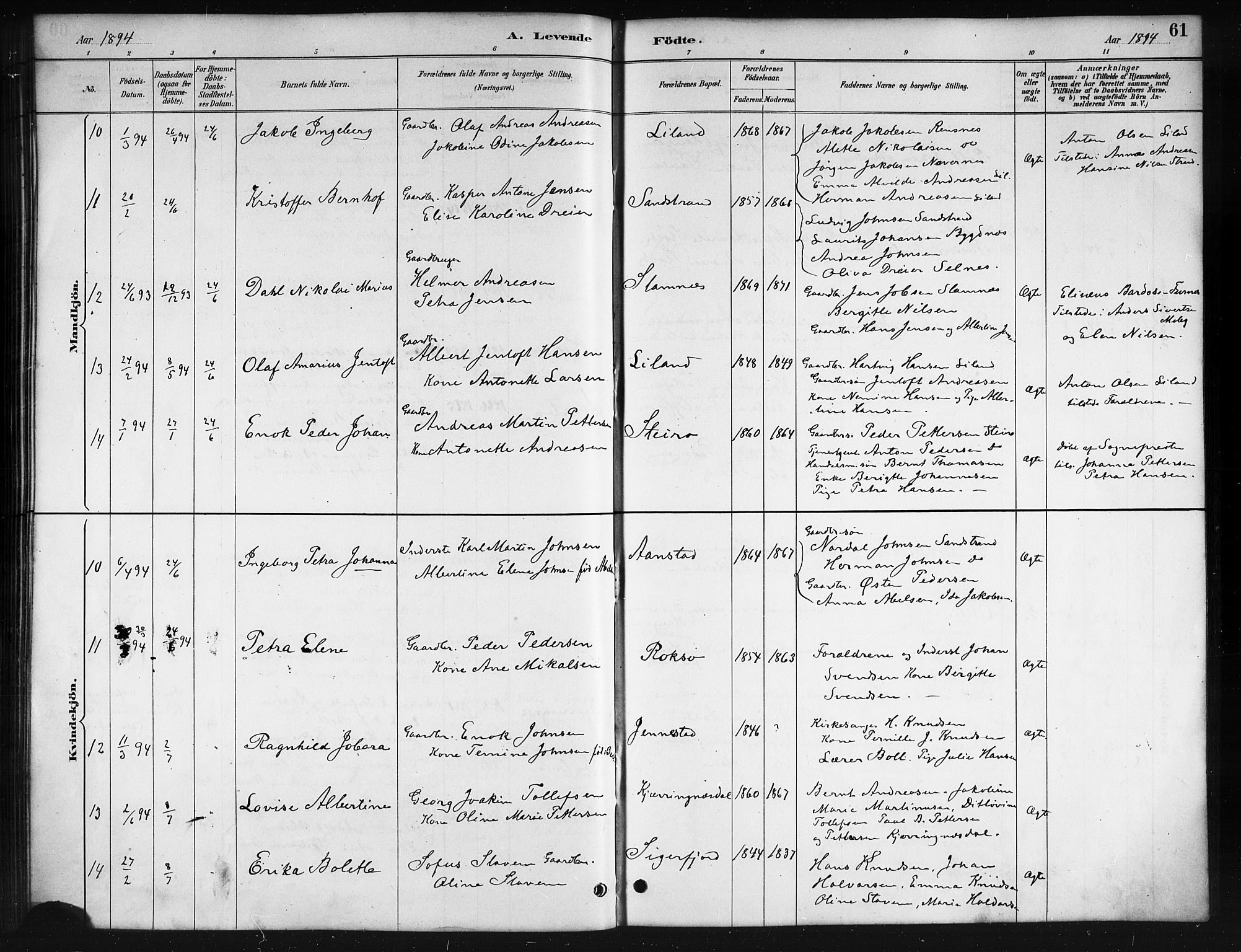 Ministerialprotokoller, klokkerbøker og fødselsregistre - Nordland, AV/SAT-A-1459/895/L1382: Klokkerbok nr. 895C04, 1885-1896, s. 61