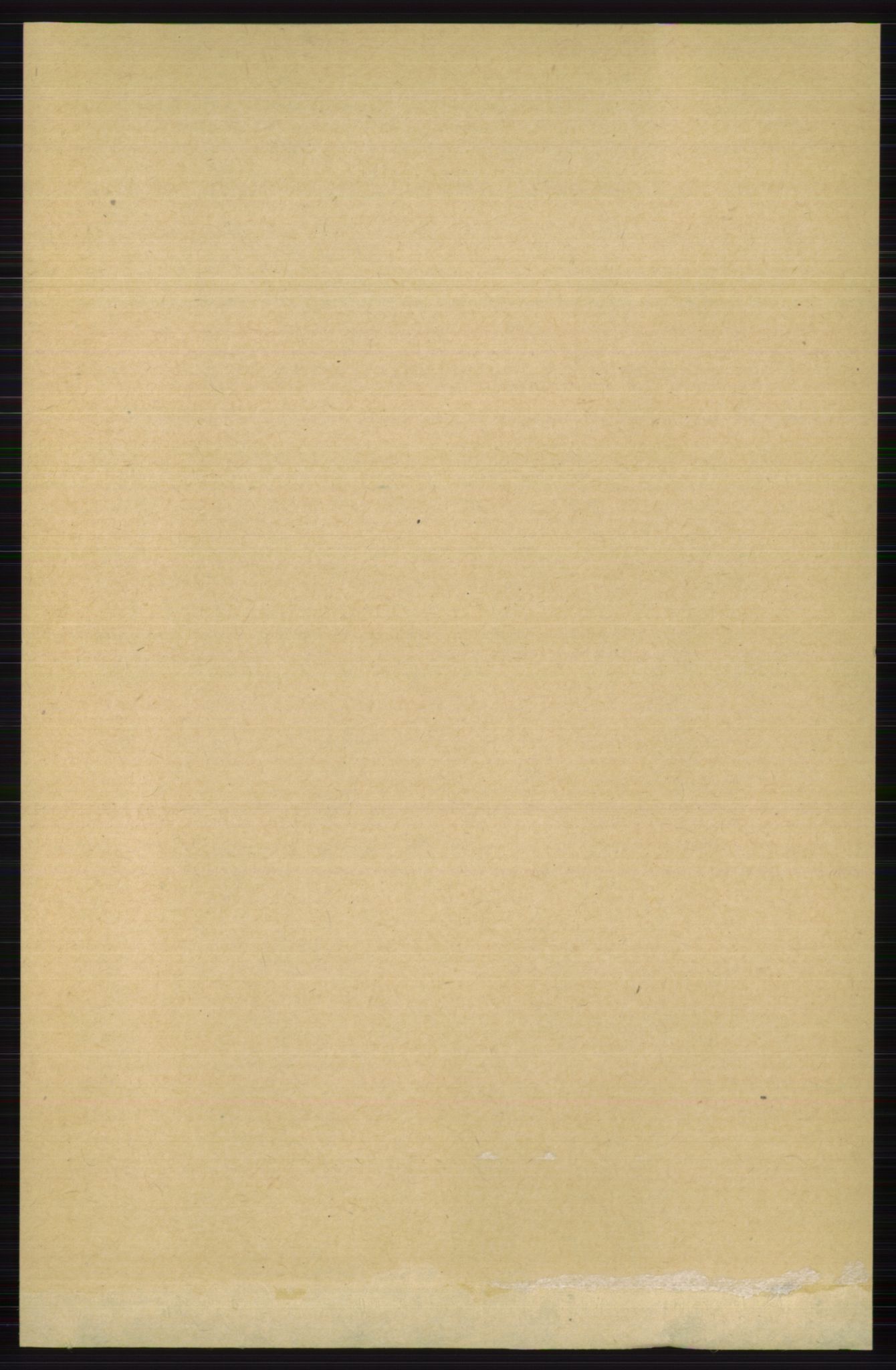 RA, Folketelling 1891 for 0619 Ål herred, 1891, s. 4041