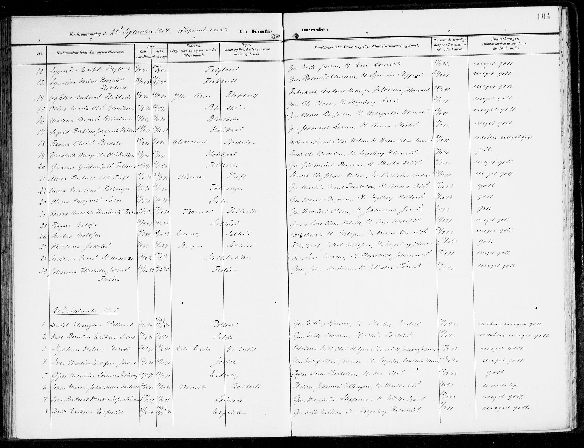 Hamre sokneprestembete, AV/SAB-A-75501/H/Ha/Haa/Haad/L0002: Ministerialbok nr. D 2, 1899-1916, s. 104