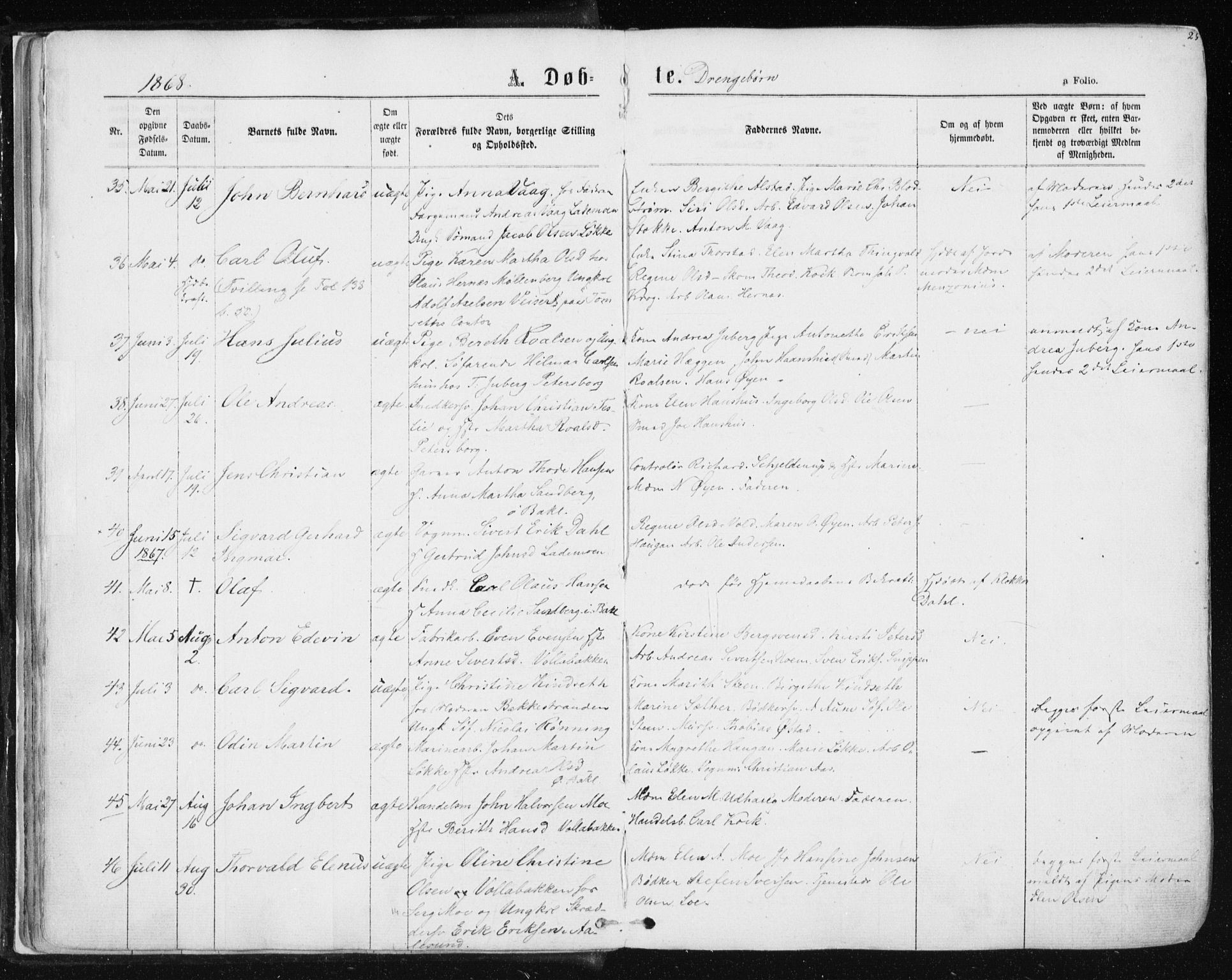 Ministerialprotokoller, klokkerbøker og fødselsregistre - Sør-Trøndelag, SAT/A-1456/604/L0186: Ministerialbok nr. 604A07, 1866-1877, s. 25