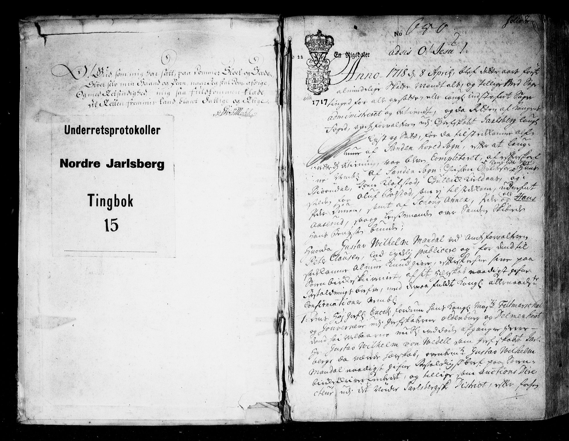 Nordre Jarlsberg sorenskriveri, AV/SAKO-A-80/F/Fa/Faa/L0015: Tingbok, 1718-1720, s. 1