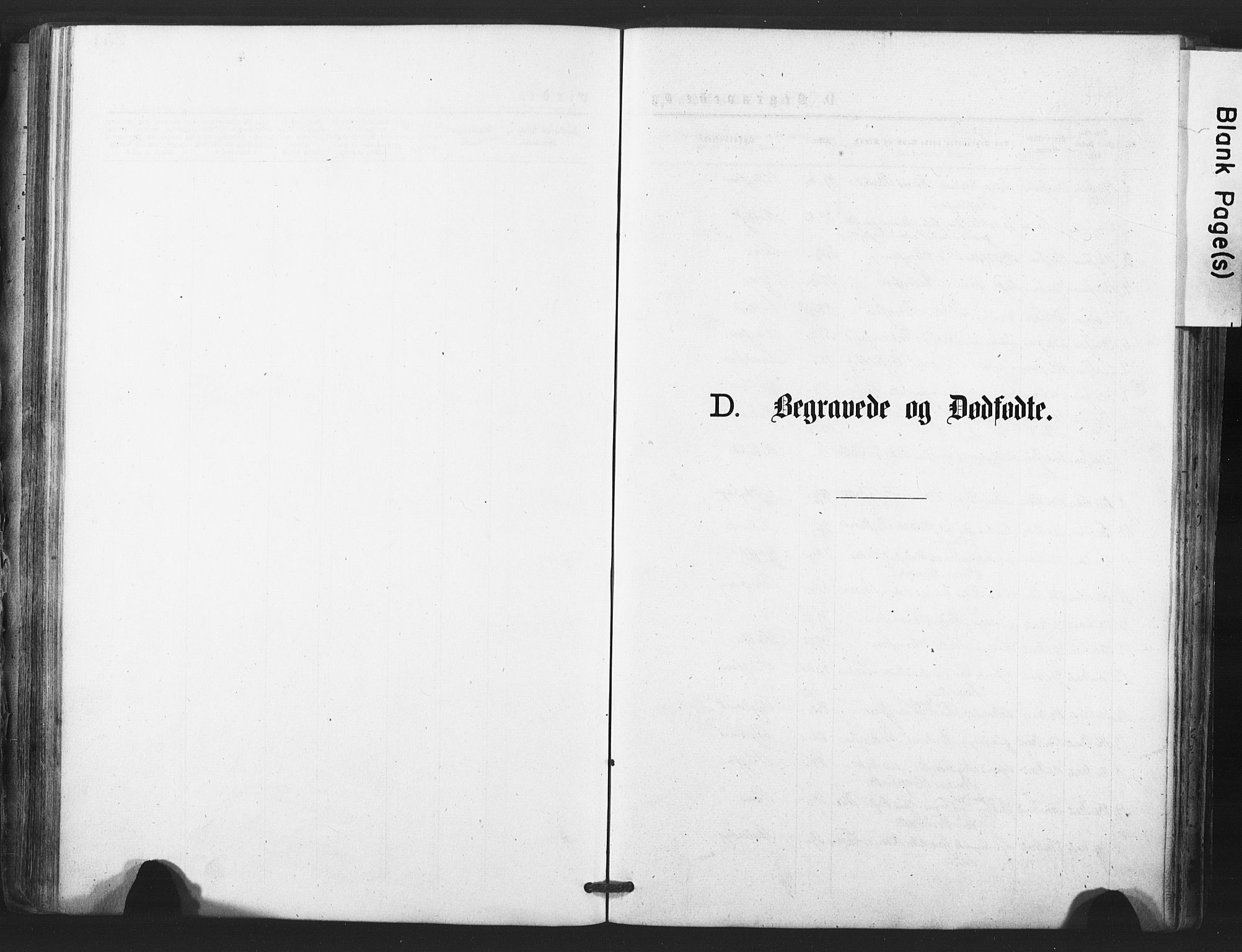 Tjølling kirkebøker, SAKO/A-60/F/Fa/L0008: Ministerialbok nr. 8, 1877-1886