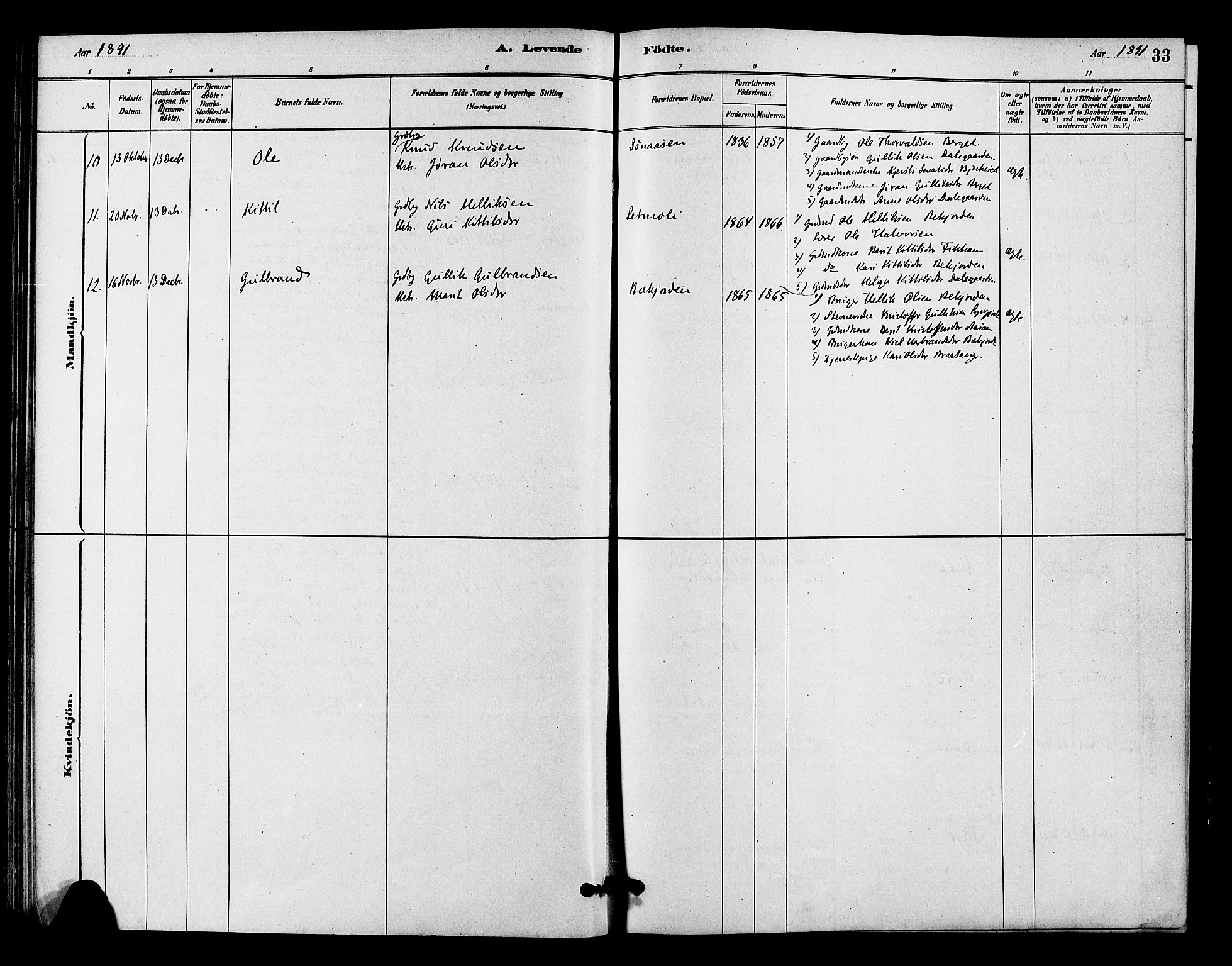 Flesberg kirkebøker, SAKO/A-18/F/Fc/L0001: Ministerialbok nr. III 1, 1879-1905, s. 33