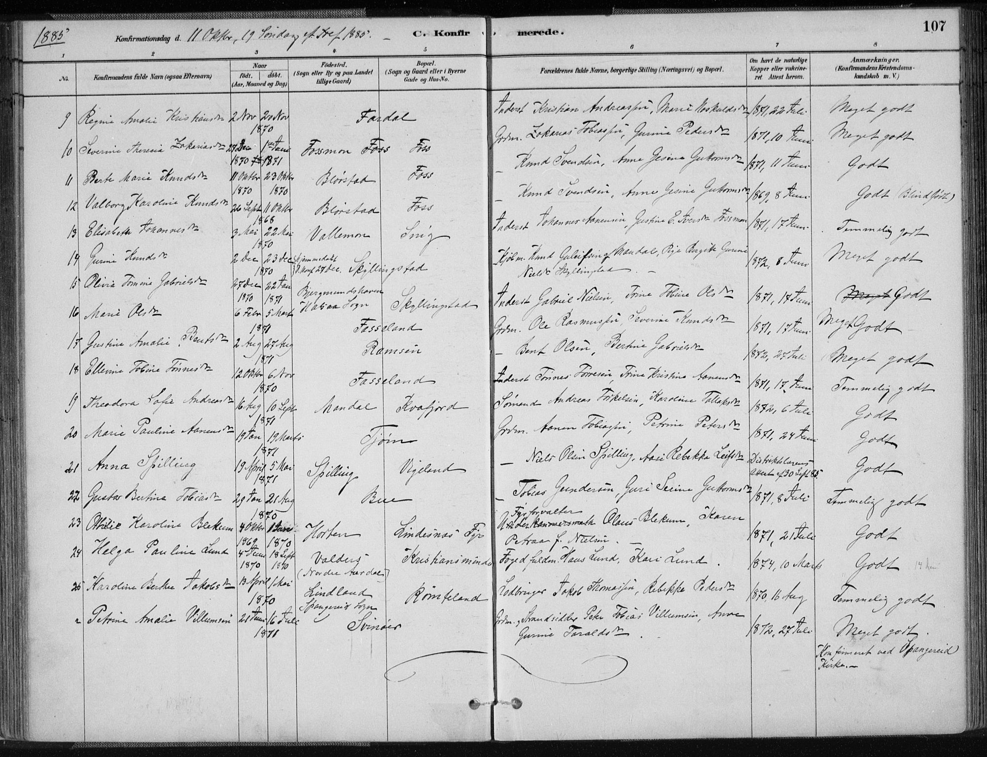 Sør-Audnedal sokneprestkontor, AV/SAK-1111-0039/F/Fa/Fab/L0009: Ministerialbok nr. A 9, 1880-1895, s. 107