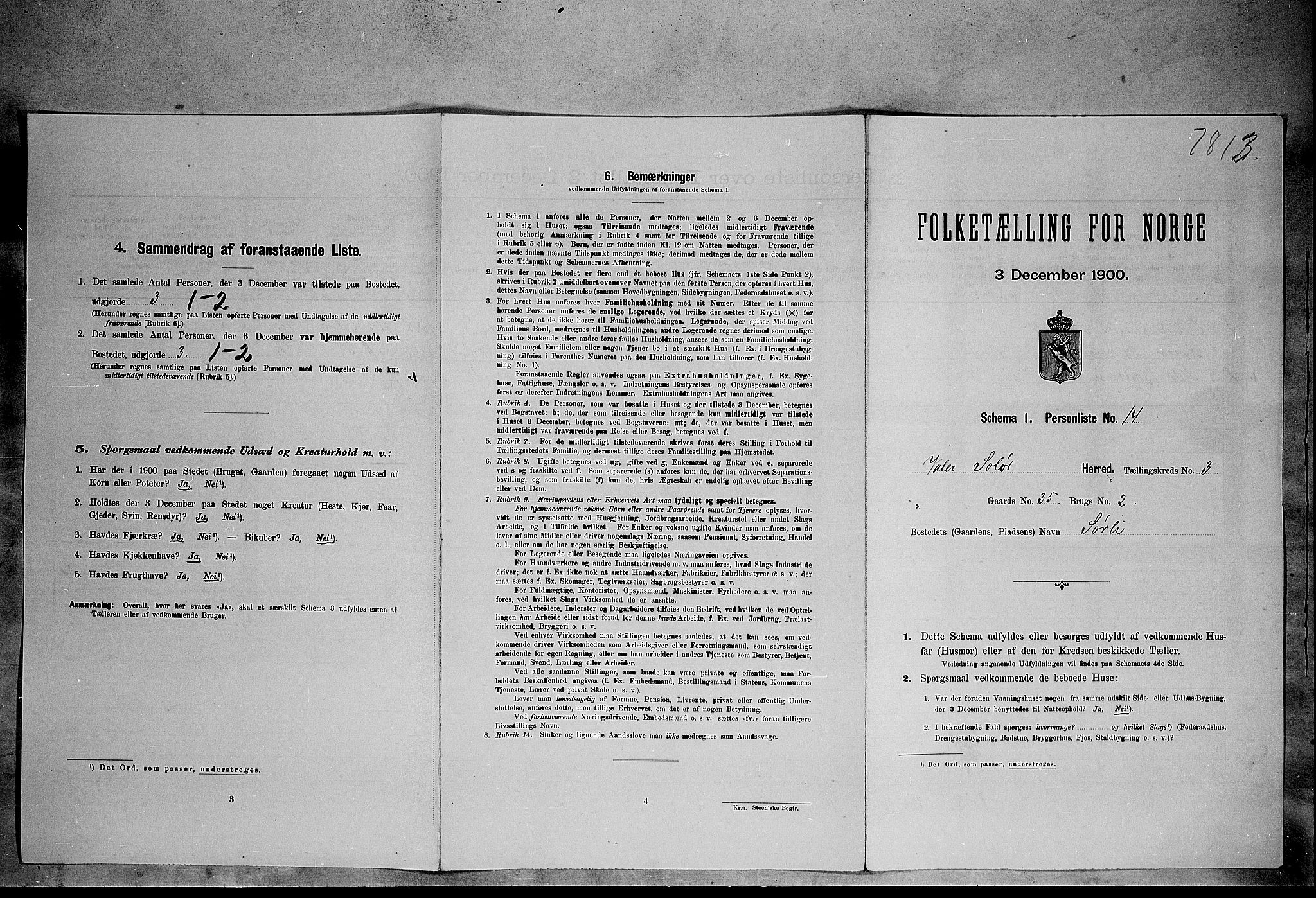 SAH, Folketelling 1900 for 0426 Våler herred, 1900, s. 384