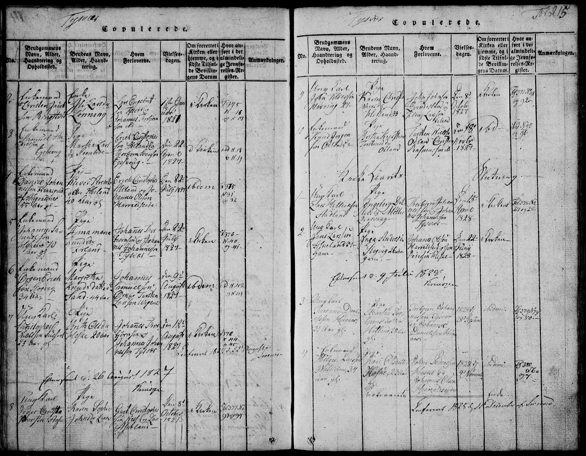 Skjold sokneprestkontor, SAST/A-101847/H/Ha/Hab/L0002: Klokkerbok nr. B 2 /1, 1815-1830, s. 215