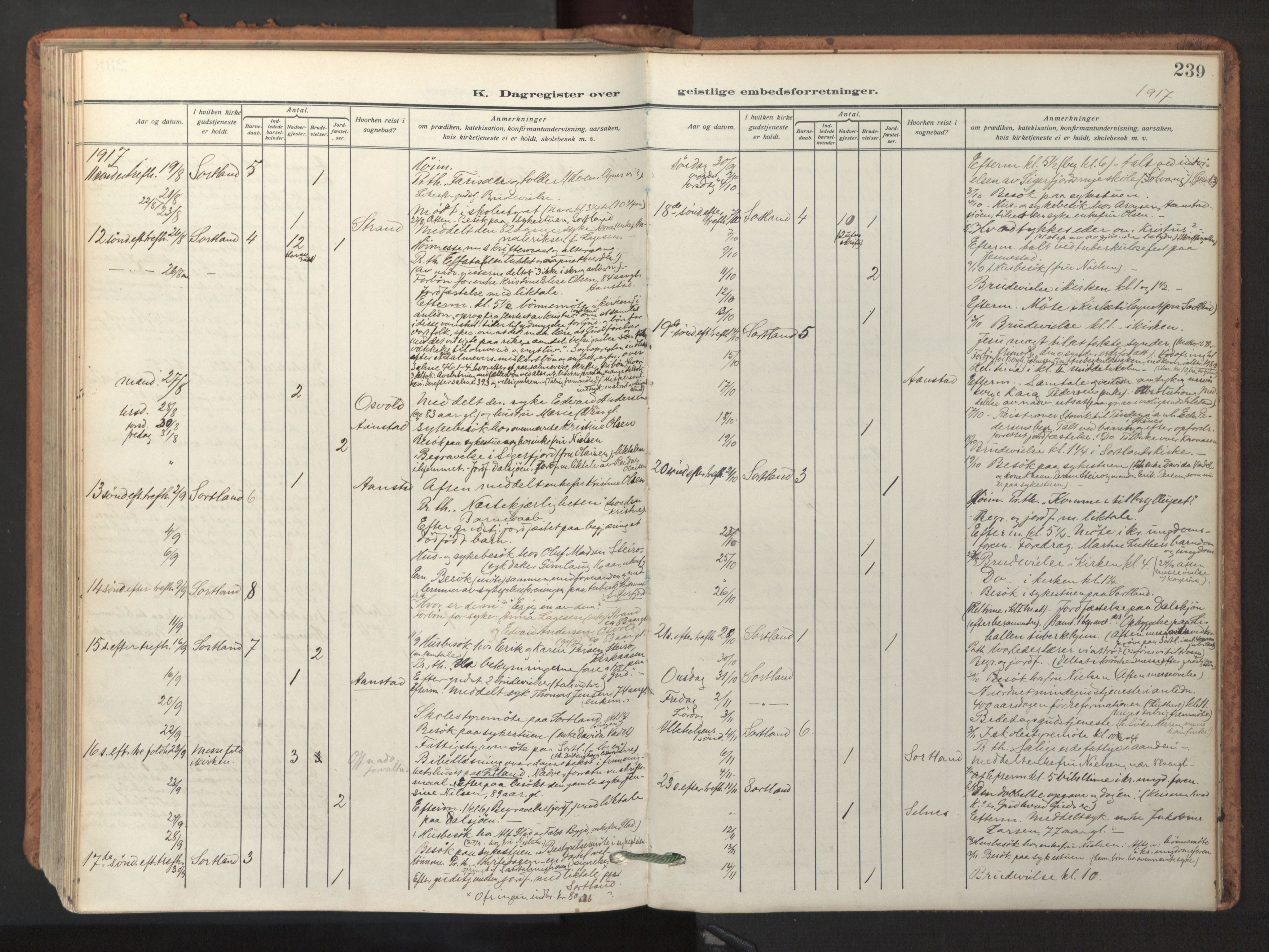 Ministerialprotokoller, klokkerbøker og fødselsregistre - Nordland, AV/SAT-A-1459/895/L1374: Ministerialbok nr. 895A09, 1915-1925, s. 239