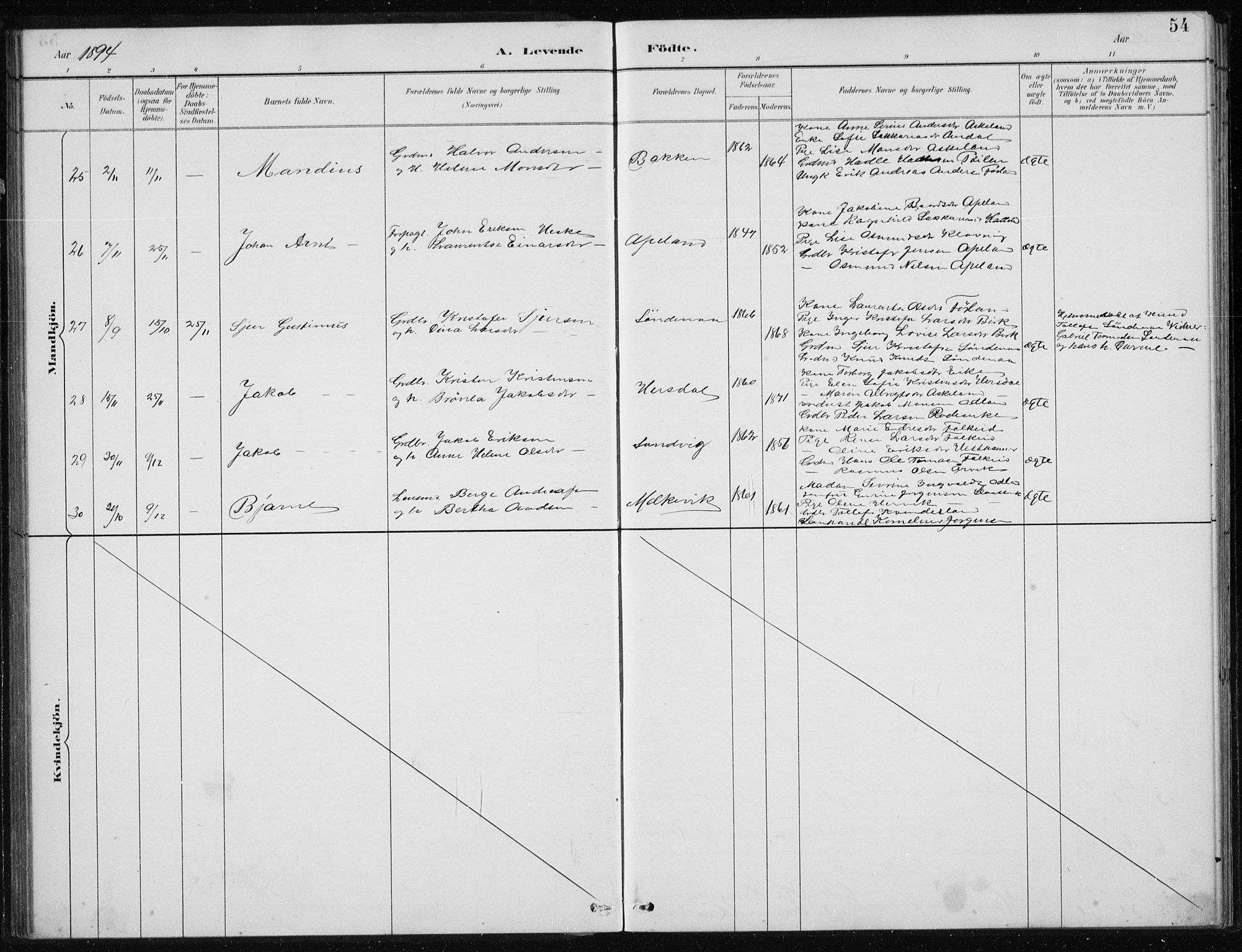 Tysvær sokneprestkontor, AV/SAST-A -101864/H/Ha/Hab/L0004: Klokkerbok nr. B 4, 1883-1896, s. 54
