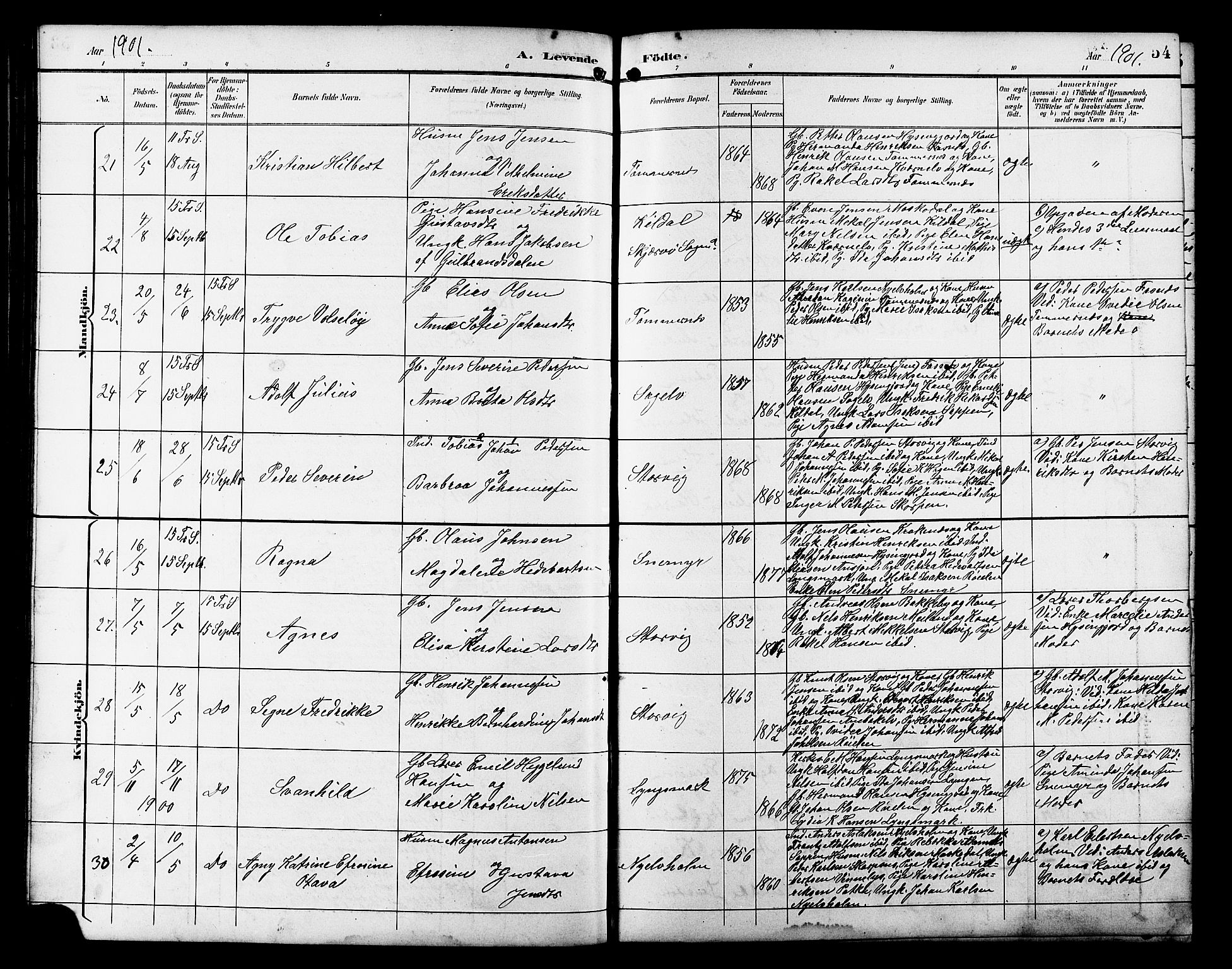 Skjervøy sokneprestkontor, AV/SATØ-S-1300/H/Ha/Hab/L0021klokker: Klokkerbok nr. 21, 1893-1910, s. 54