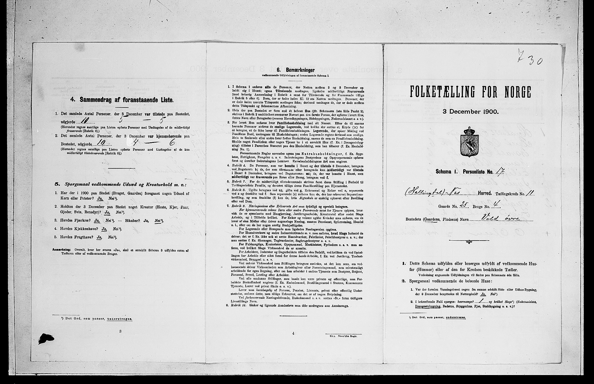 RA, Folketelling 1900 for 0616 Nes herred, 1900, s. 1192