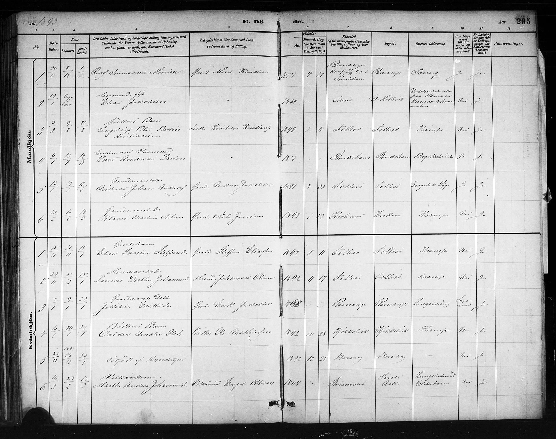 Askøy Sokneprestembete, AV/SAB-A-74101/H/Ha/Hab/Haba/L0008: Klokkerbok nr. A 8, 1882-1893, s. 295