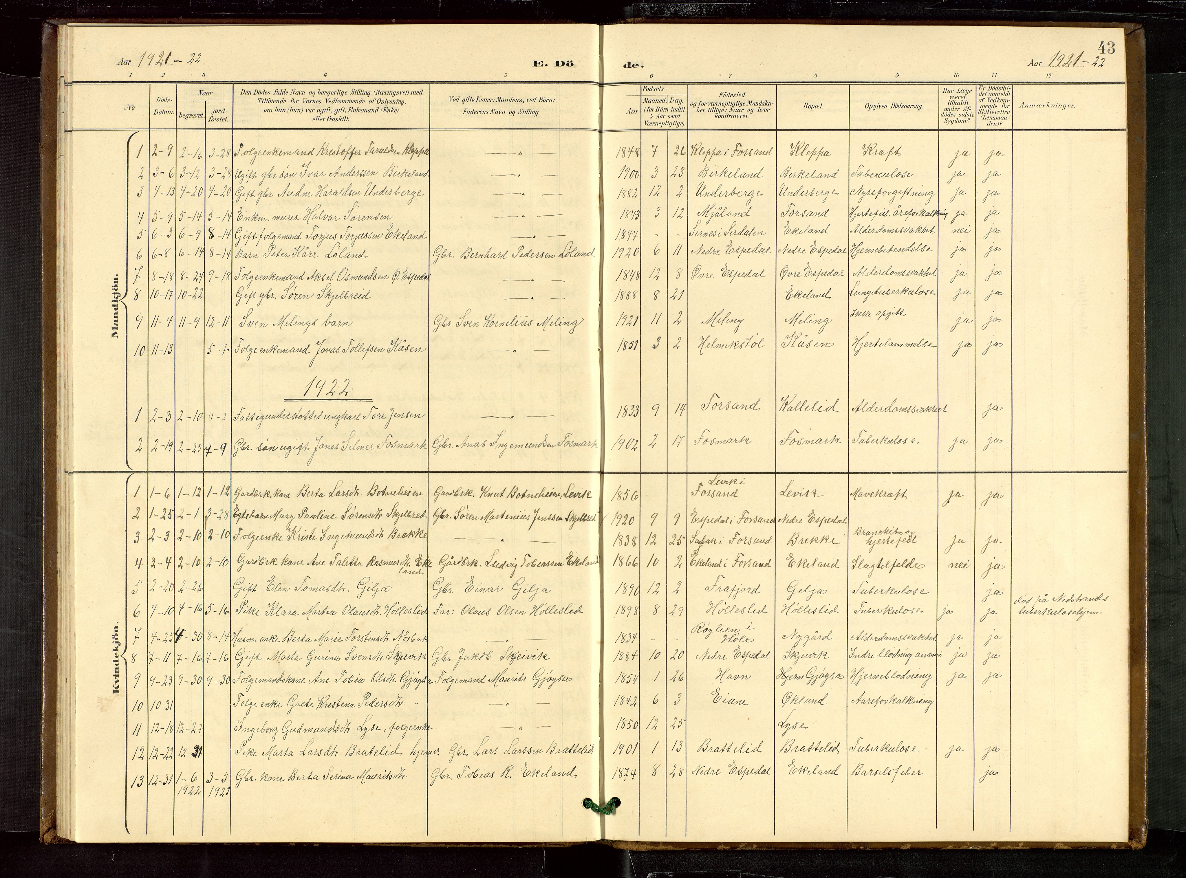 Høgsfjord sokneprestkontor, AV/SAST-A-101624/H/Ha/Hab/L0010: Klokkerbok nr. B 10, 1900-1922, s. 43