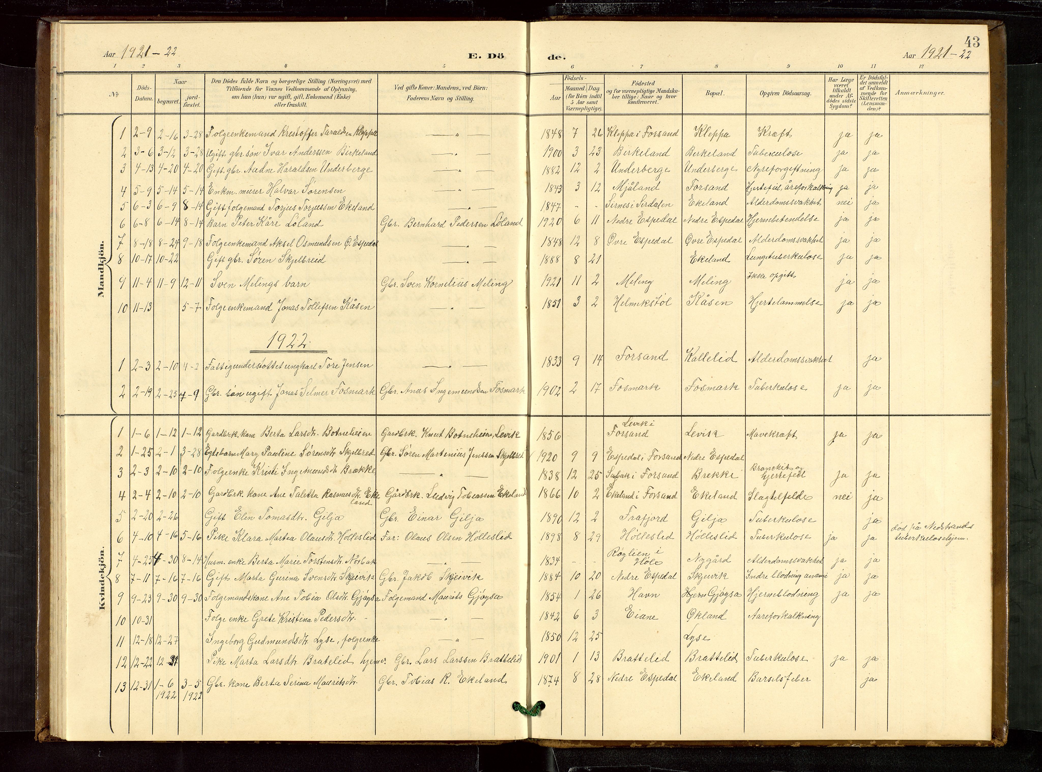 Høgsfjord sokneprestkontor, SAST/A-101624/H/Ha/Hab/L0010: Klokkerbok nr. B 10, 1900-1922, s. 43