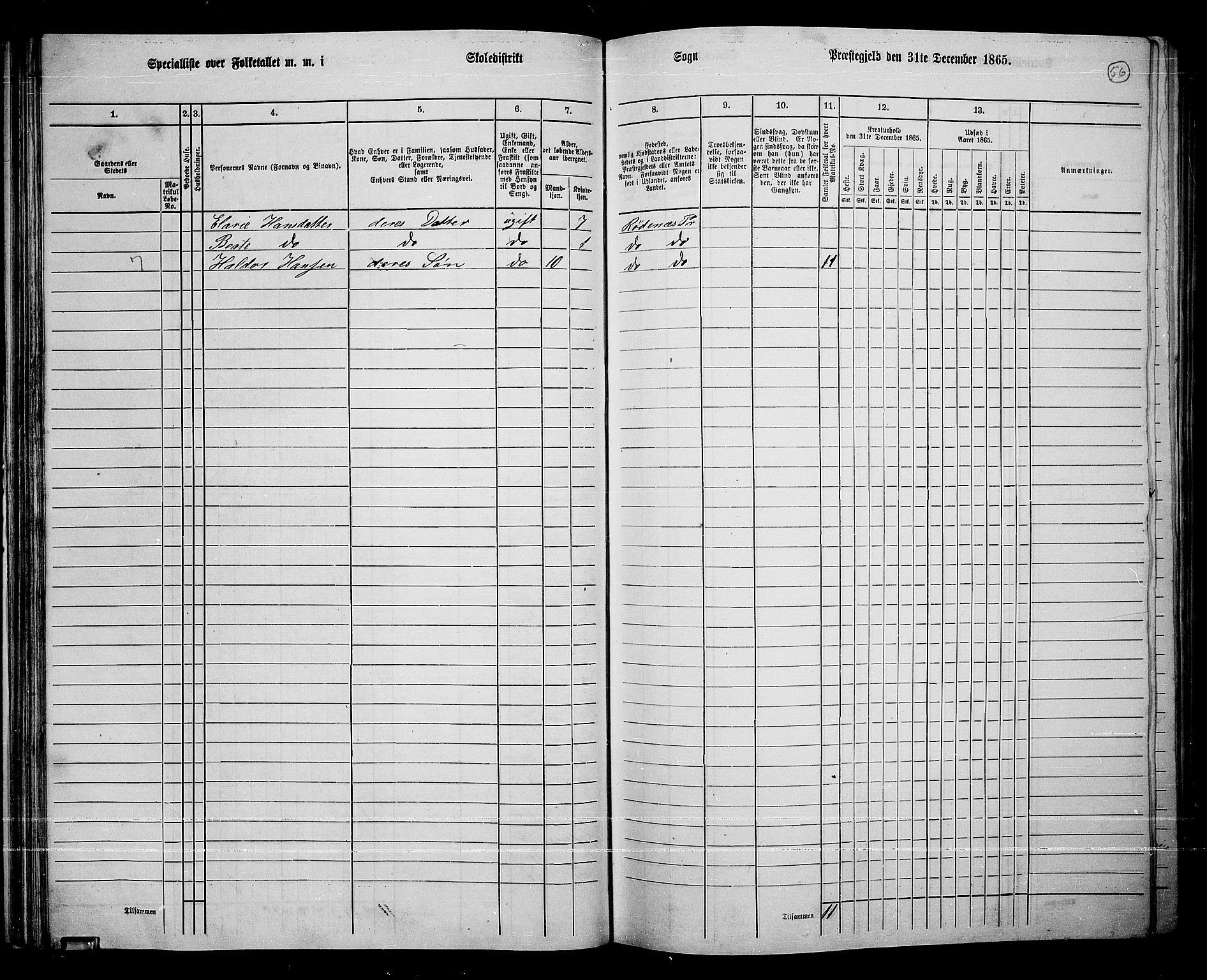 RA, Folketelling 1865 for 0120P Rødenes prestegjeld, 1865, s. 52