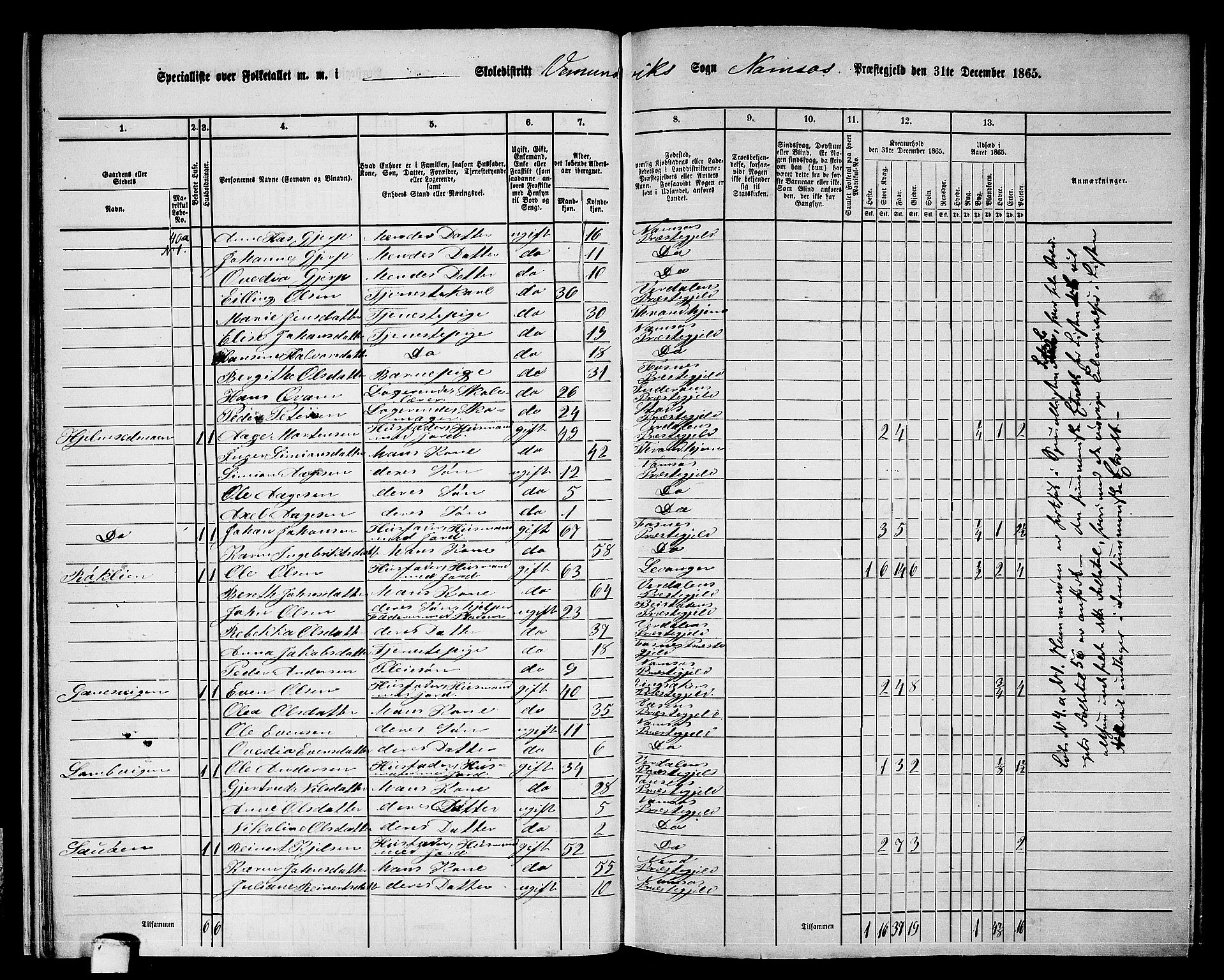 RA, Folketelling 1865 for 1745L Namsos prestegjeld, Vemundvik sokn og Sævik sokn, 1865, s. 20