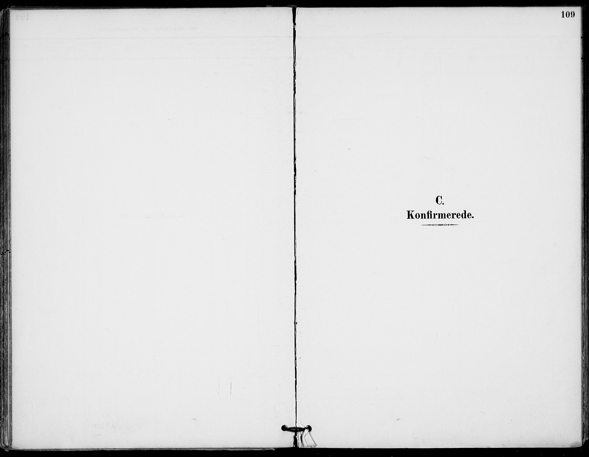 Gol kirkebøker, AV/SAKO-A-226/F/Fa/L0005: Ministerialbok nr. I 5, 1887-1900, s. 109