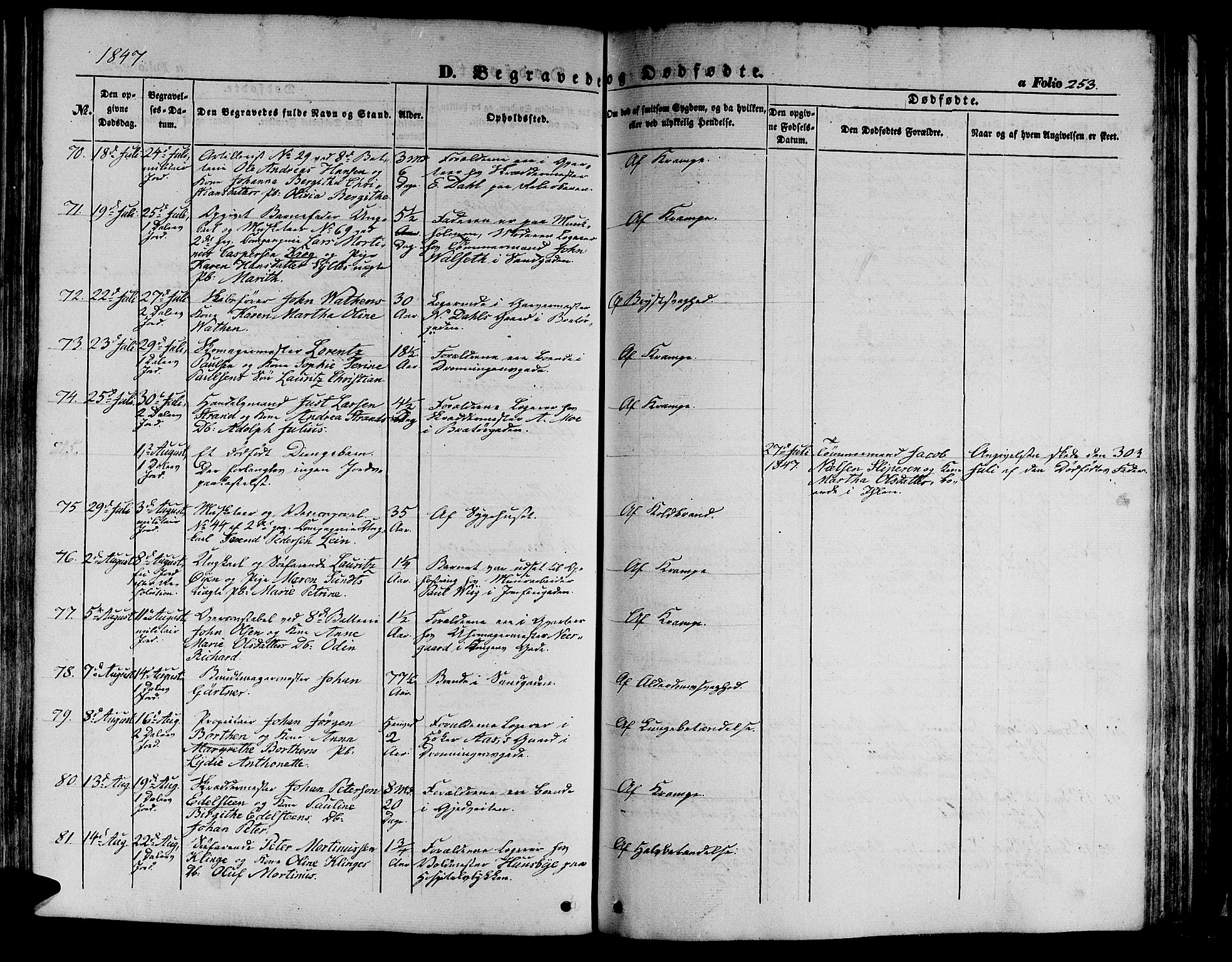 Ministerialprotokoller, klokkerbøker og fødselsregistre - Sør-Trøndelag, AV/SAT-A-1456/602/L0137: Klokkerbok nr. 602C05, 1846-1856, s. 253