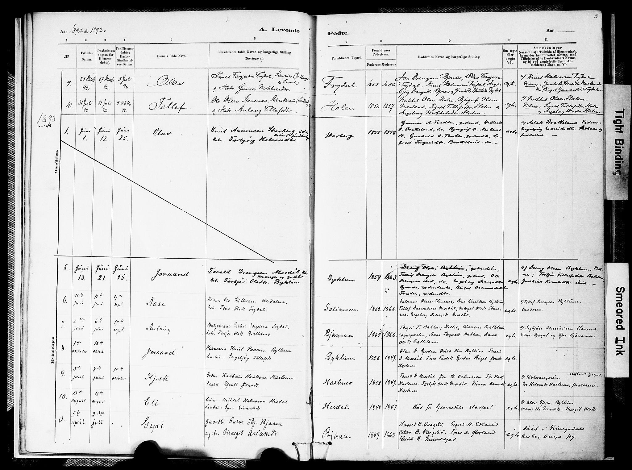 Valle sokneprestkontor, SAK/1111-0044/F/Fa/Faa/L0001: Ministerialbok nr. A 1, 1882-1907, s. 17