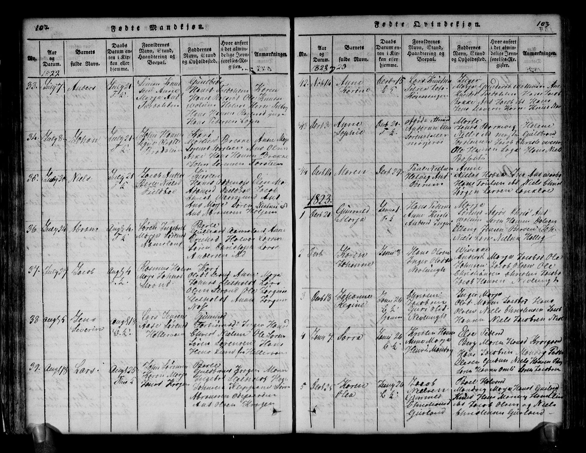 Brunlanes kirkebøker, AV/SAKO-A-342/G/Ga/L0001: Klokkerbok nr. I 1, 1814-1834, s. 102-103