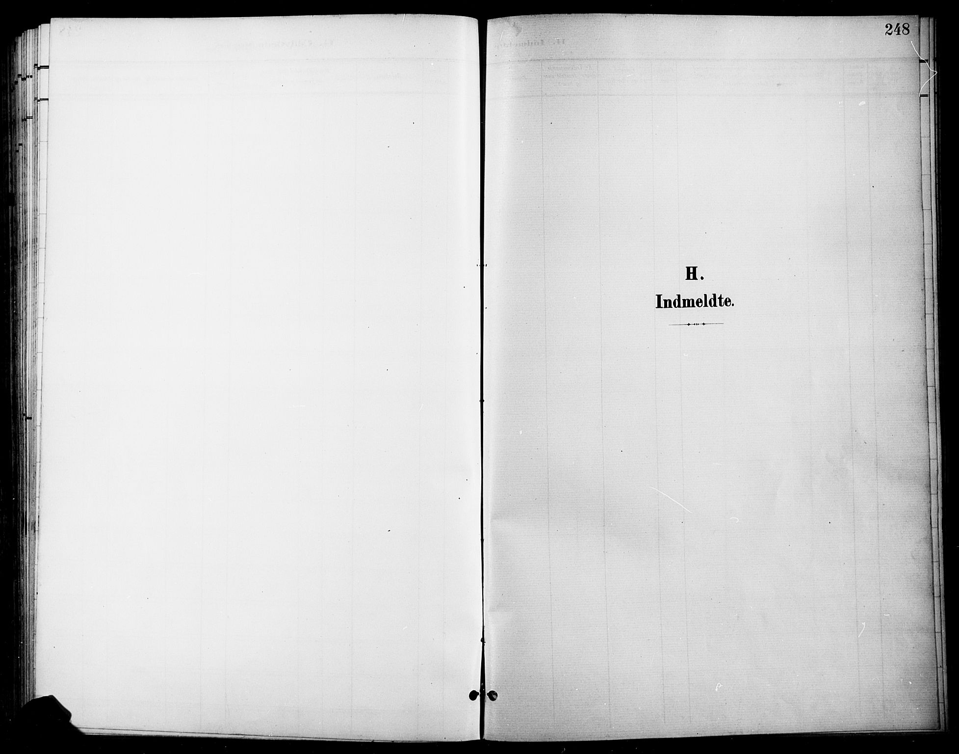 Gran prestekontor, AV/SAH-PREST-112/H/Ha/Haa/L0019: Ministerialbok nr. 19, 1898-1907, s. 248