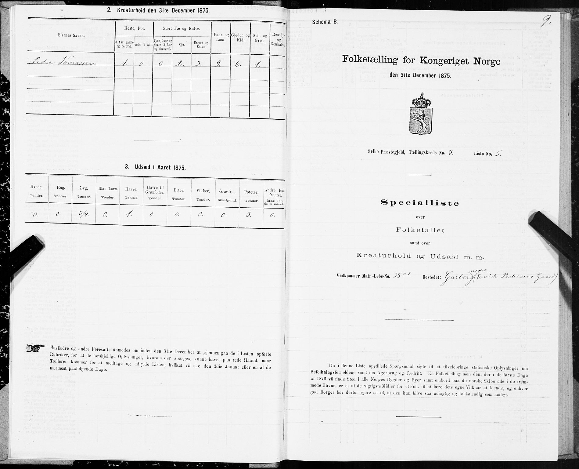 SAT, Folketelling 1875 for 1664P Selbu prestegjeld, 1875, s. 2009