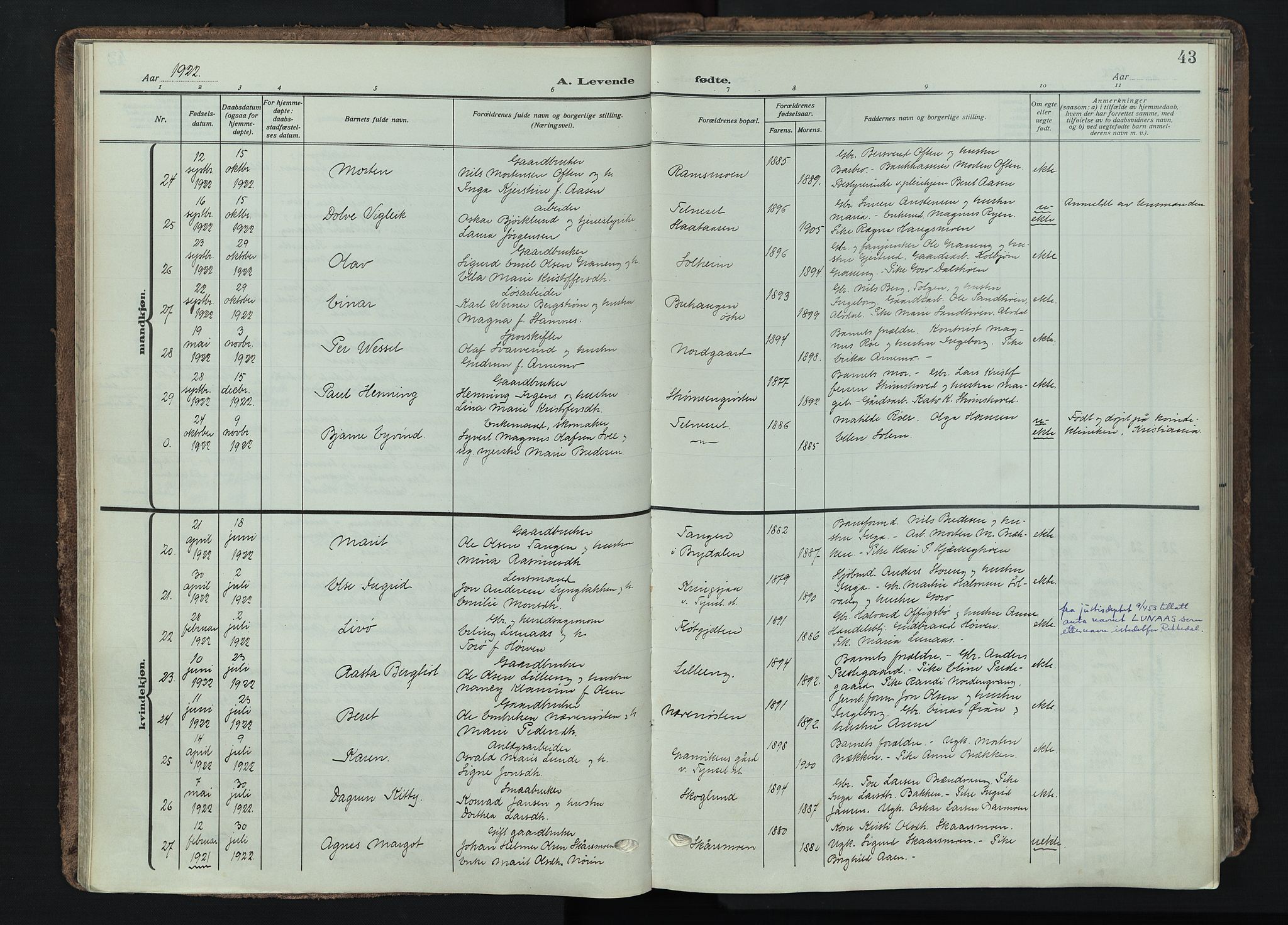 Tynset prestekontor, AV/SAH-PREST-058/H/Ha/Haa/L0026: Ministerialbok nr. 26, 1915-1929, s. 43