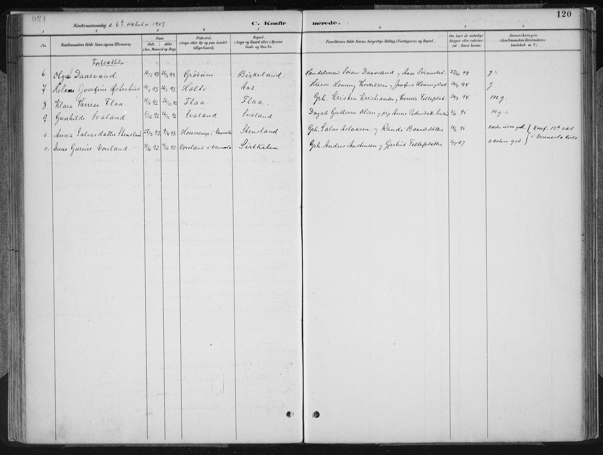 Birkenes sokneprestkontor, SAK/1111-0004/F/Fa/L0005: Ministerialbok nr. A 5, 1887-1907, s. 120