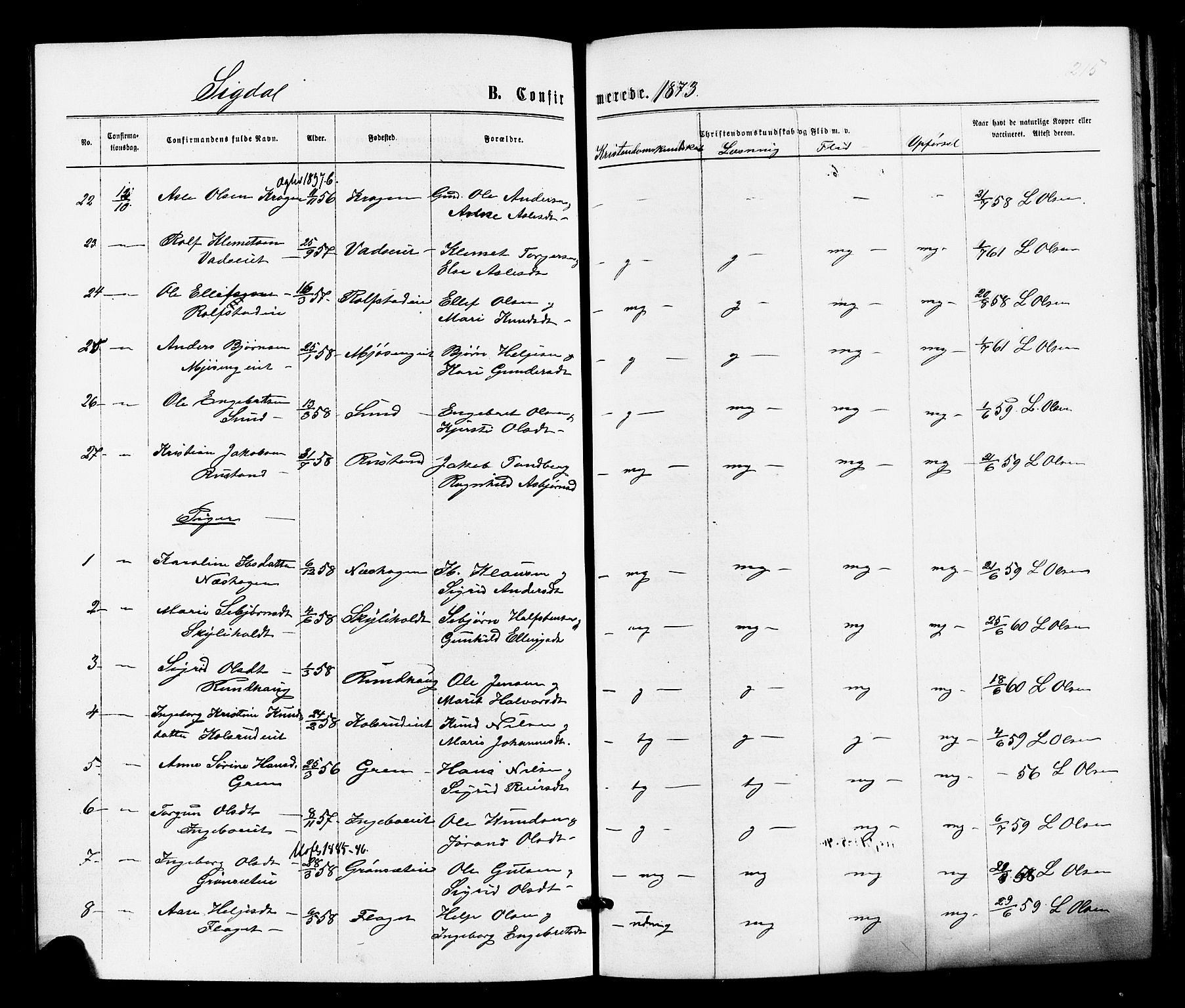 Sigdal kirkebøker, AV/SAKO-A-245/F/Fa/L0010: Ministerialbok nr. I 10 /1, 1872-1878, s. 215