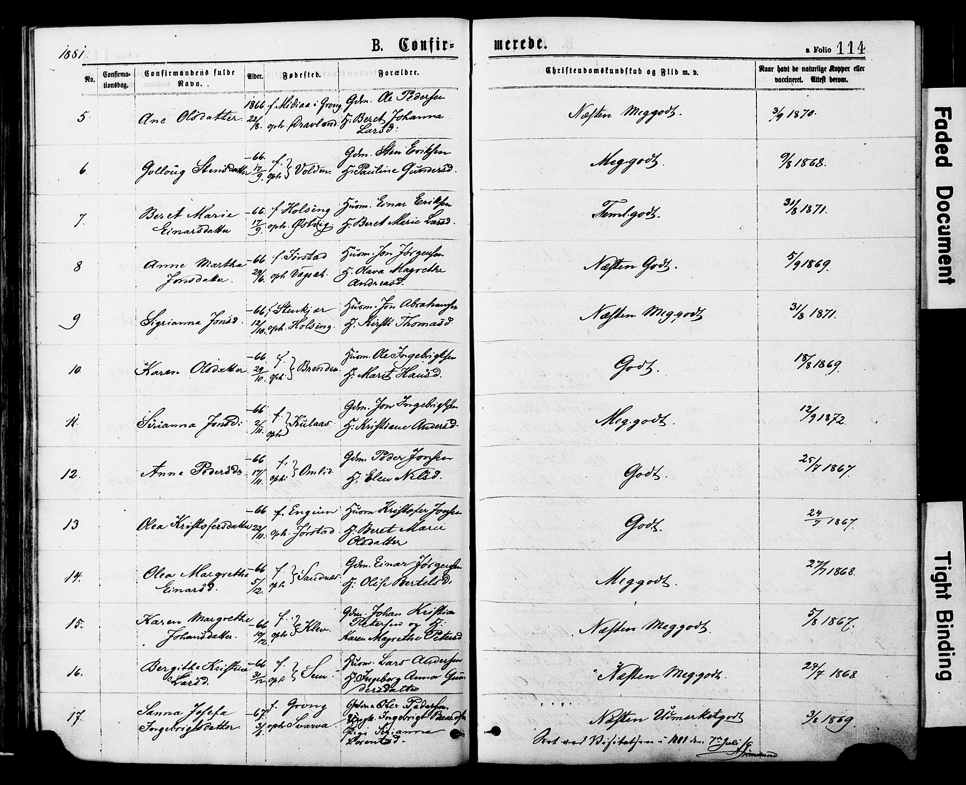 Ministerialprotokoller, klokkerbøker og fødselsregistre - Nord-Trøndelag, SAT/A-1458/749/L0473: Ministerialbok nr. 749A07, 1873-1887, s. 114