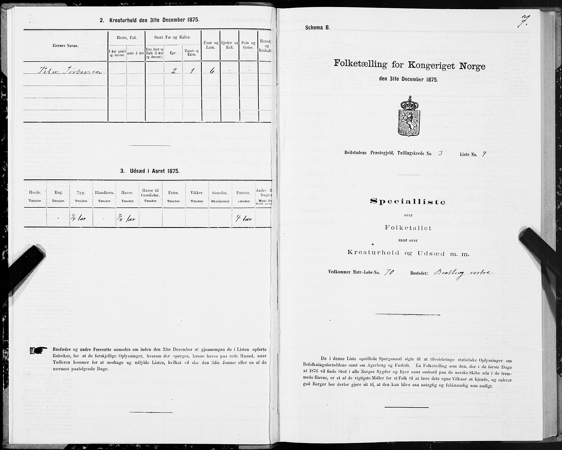 SAT, Folketelling 1875 for 1727P Beitstad prestegjeld, 1875, s. 2007