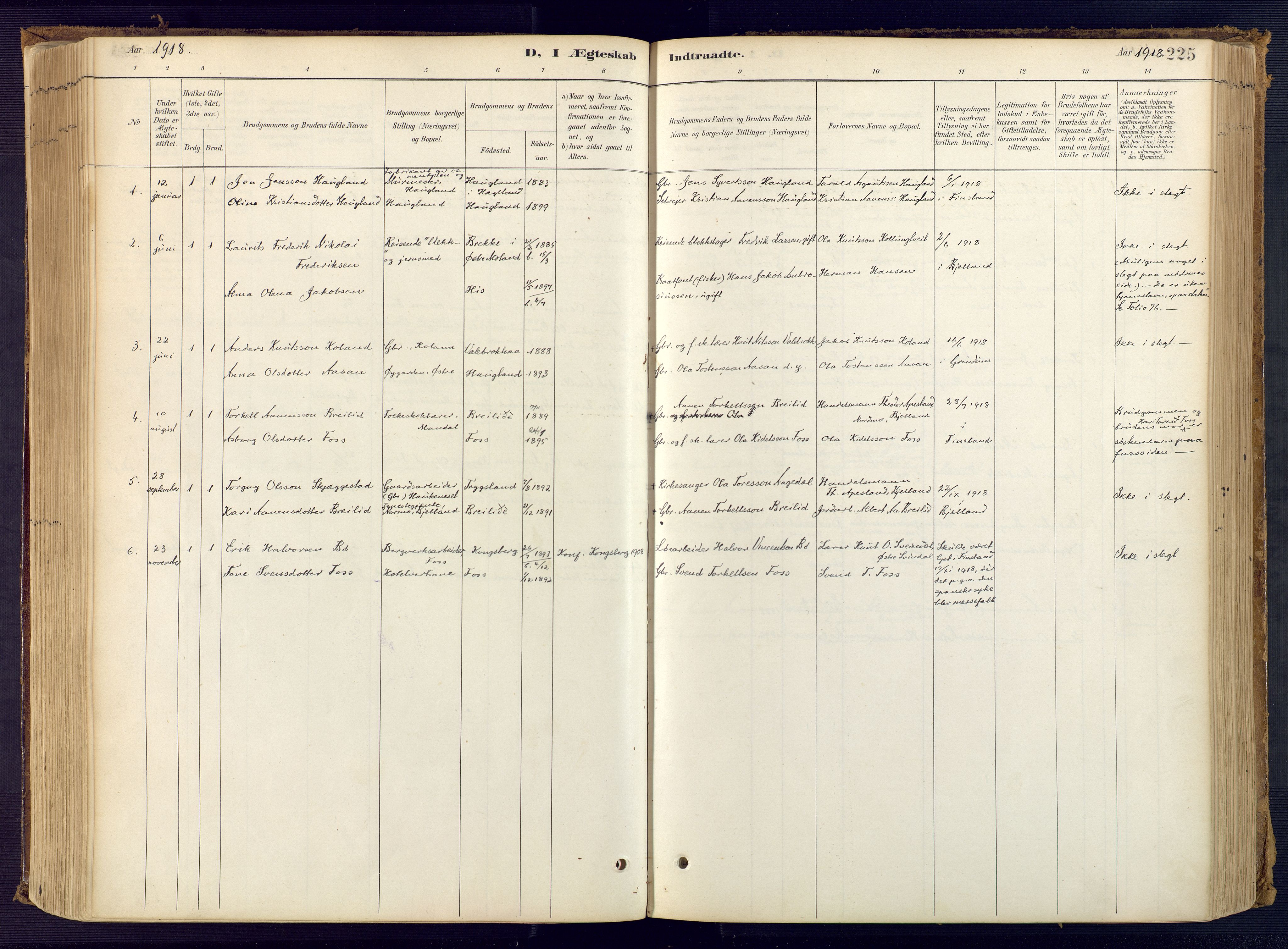 Bjelland sokneprestkontor, AV/SAK-1111-0005/F/Fa/Faa/L0004: Ministerialbok nr. A 4, 1887-1923, s. 225