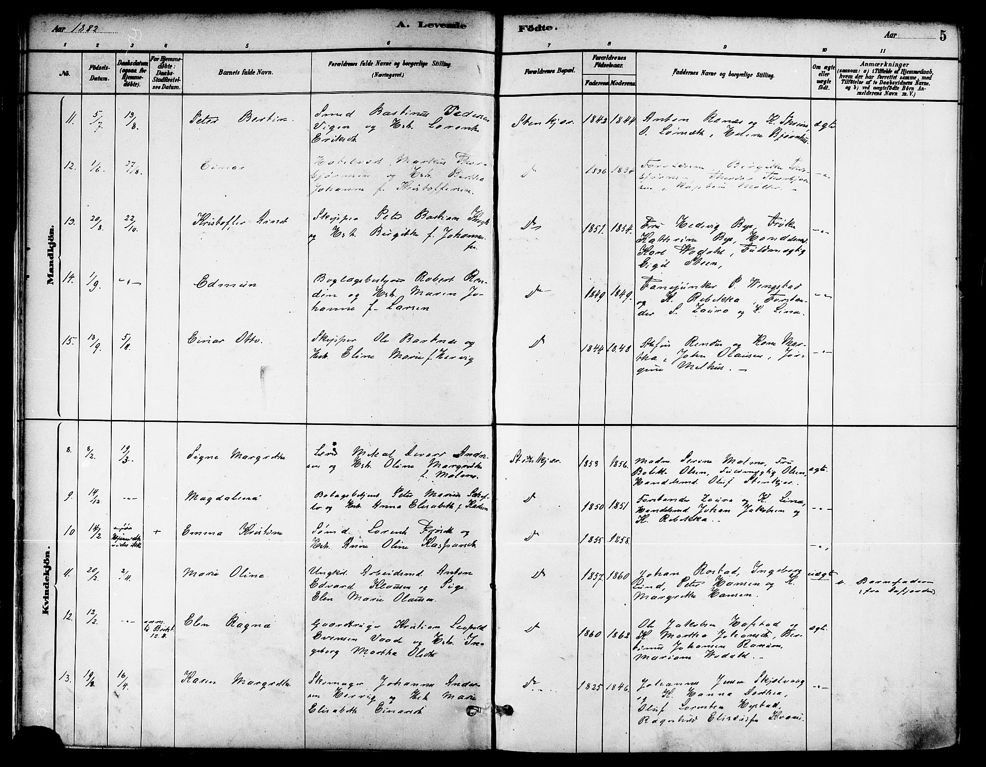 Ministerialprotokoller, klokkerbøker og fødselsregistre - Nord-Trøndelag, AV/SAT-A-1458/739/L0371: Ministerialbok nr. 739A03, 1881-1895, s. 5