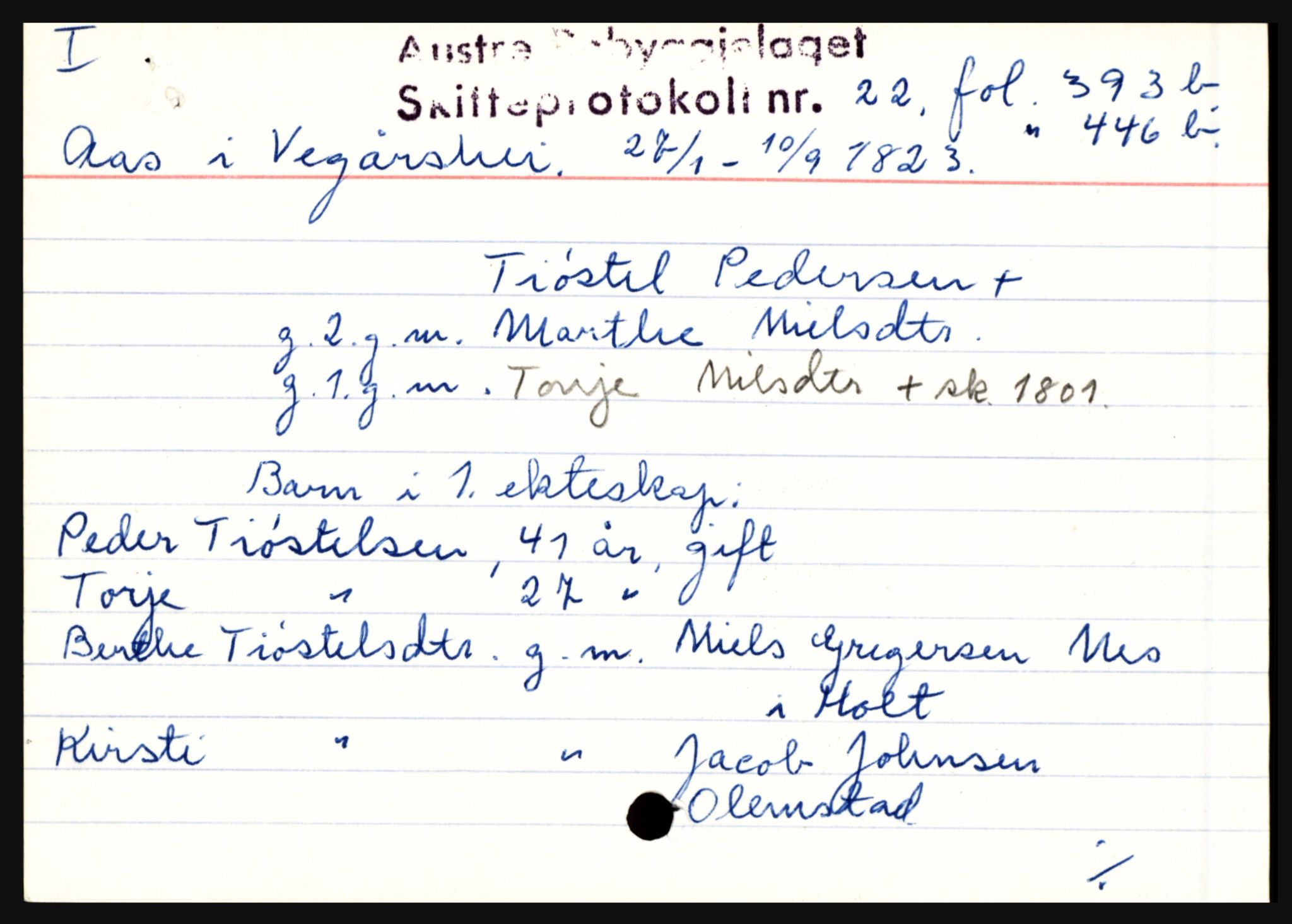 Østre Råbyggelag sorenskriveri, SAK/1221-0016/H, s. 17313