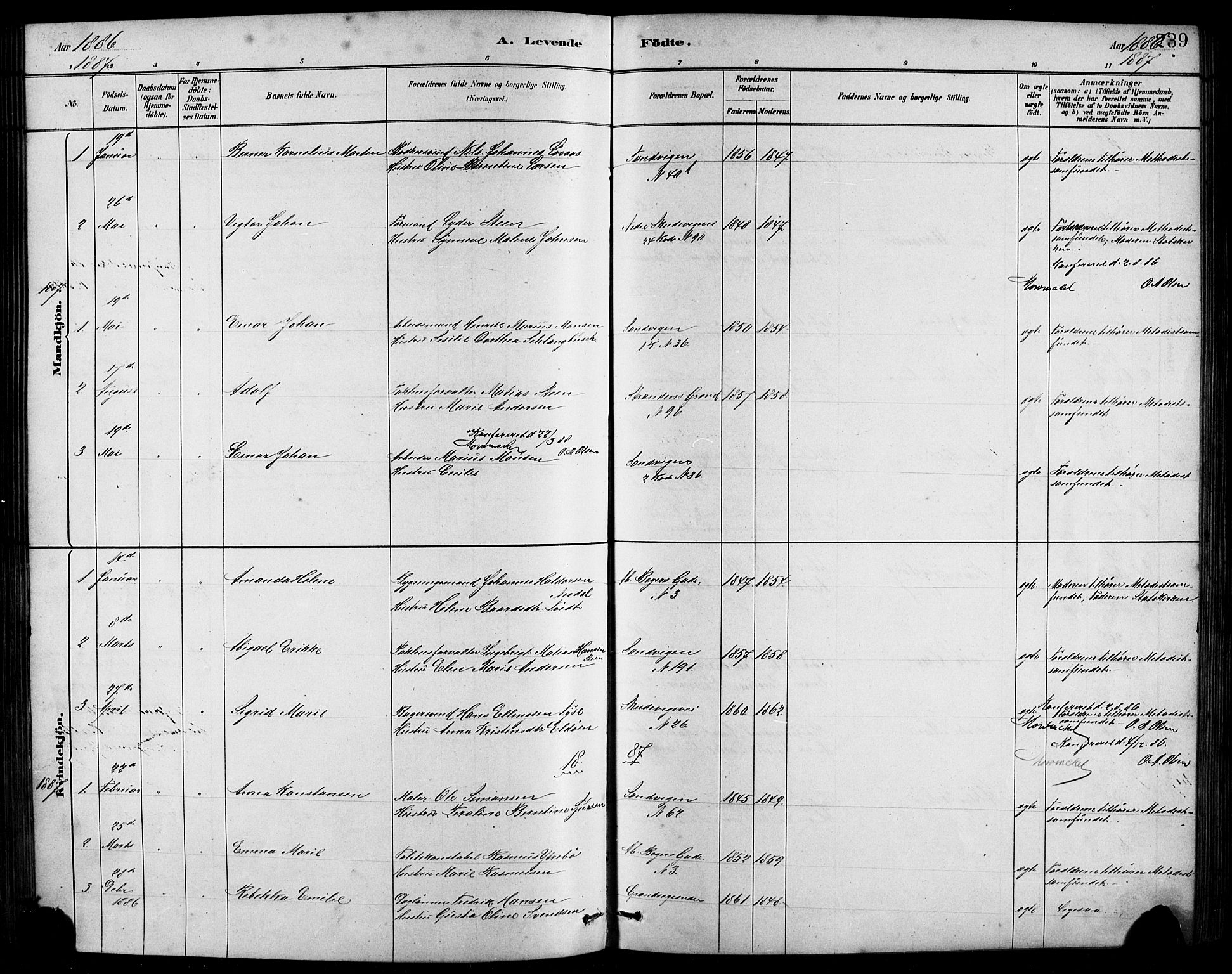 Sandviken Sokneprestembete, AV/SAB-A-77601/H/Hb/L0001: Klokkerbok nr. A 2, 1879-1892, s. 239
