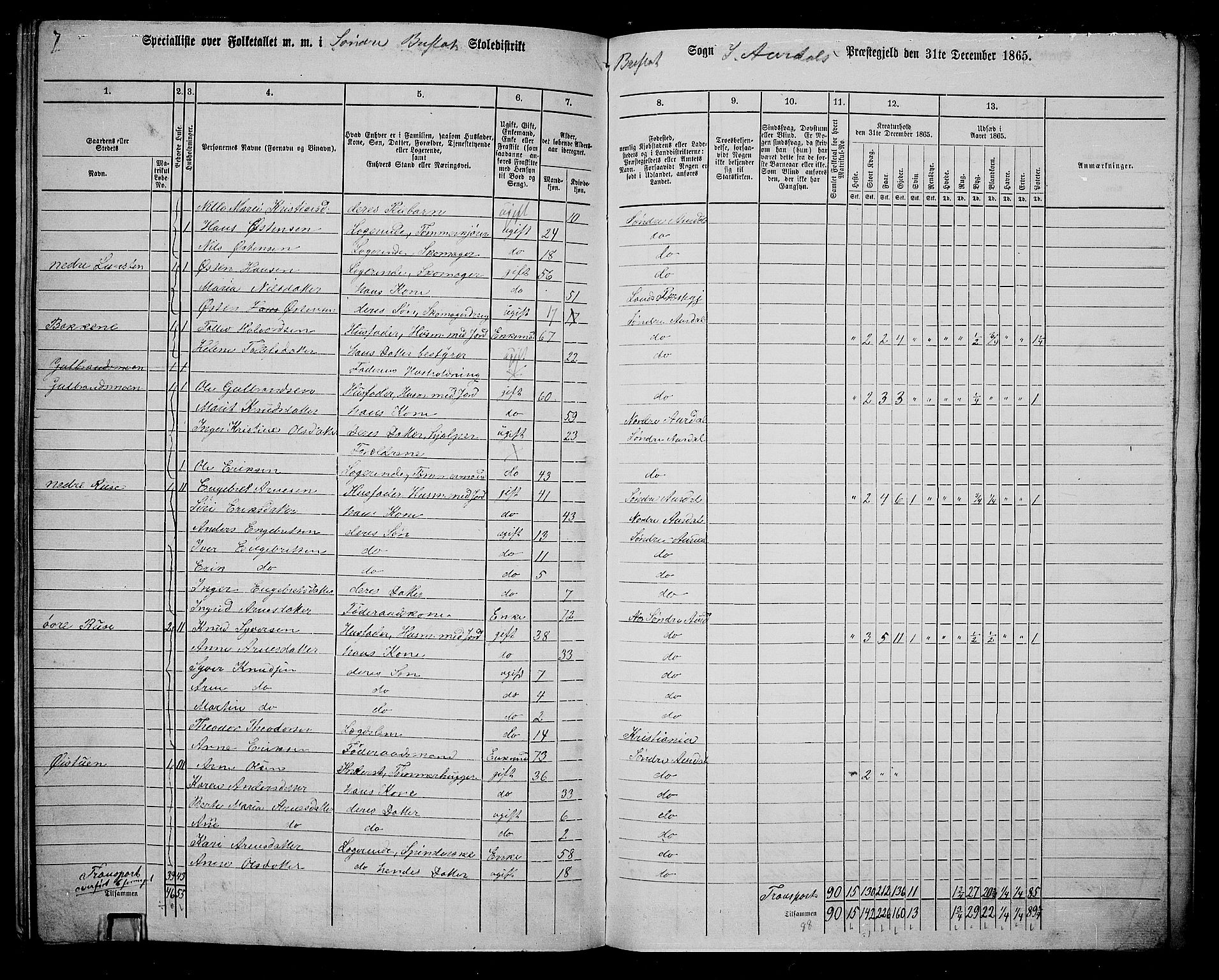 RA, Folketelling 1865 for 0540P Sør-Aurdal prestegjeld, 1865, s. 242