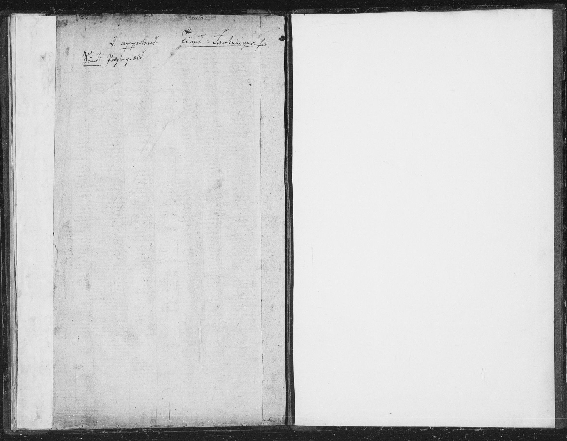 Sund sokneprestembete, AV/SAB-A-99930: Ministerialbok nr. A 9, 1799-1803