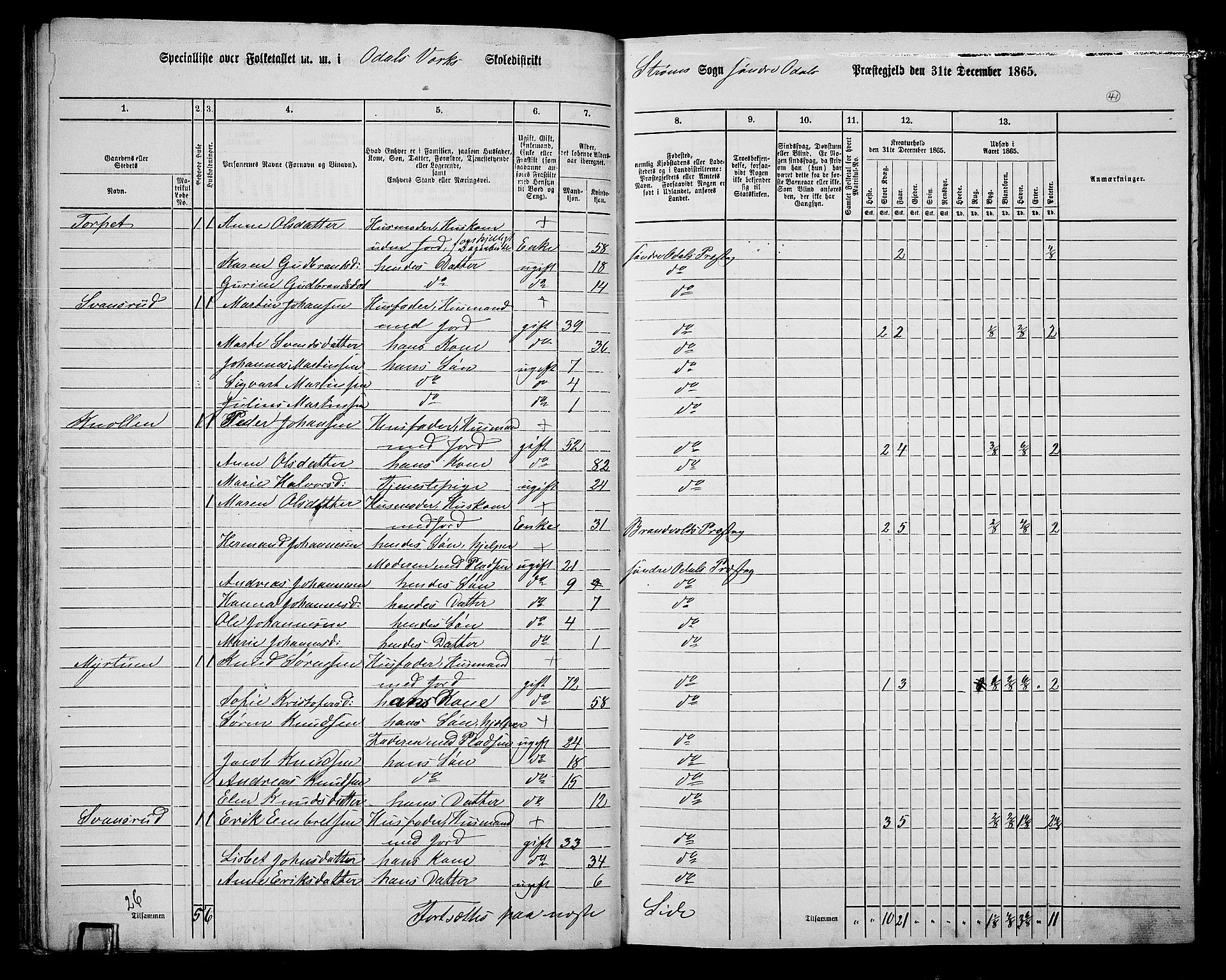 RA, Folketelling 1865 for 0419P Sør-Odal prestegjeld, 1865, s. 37