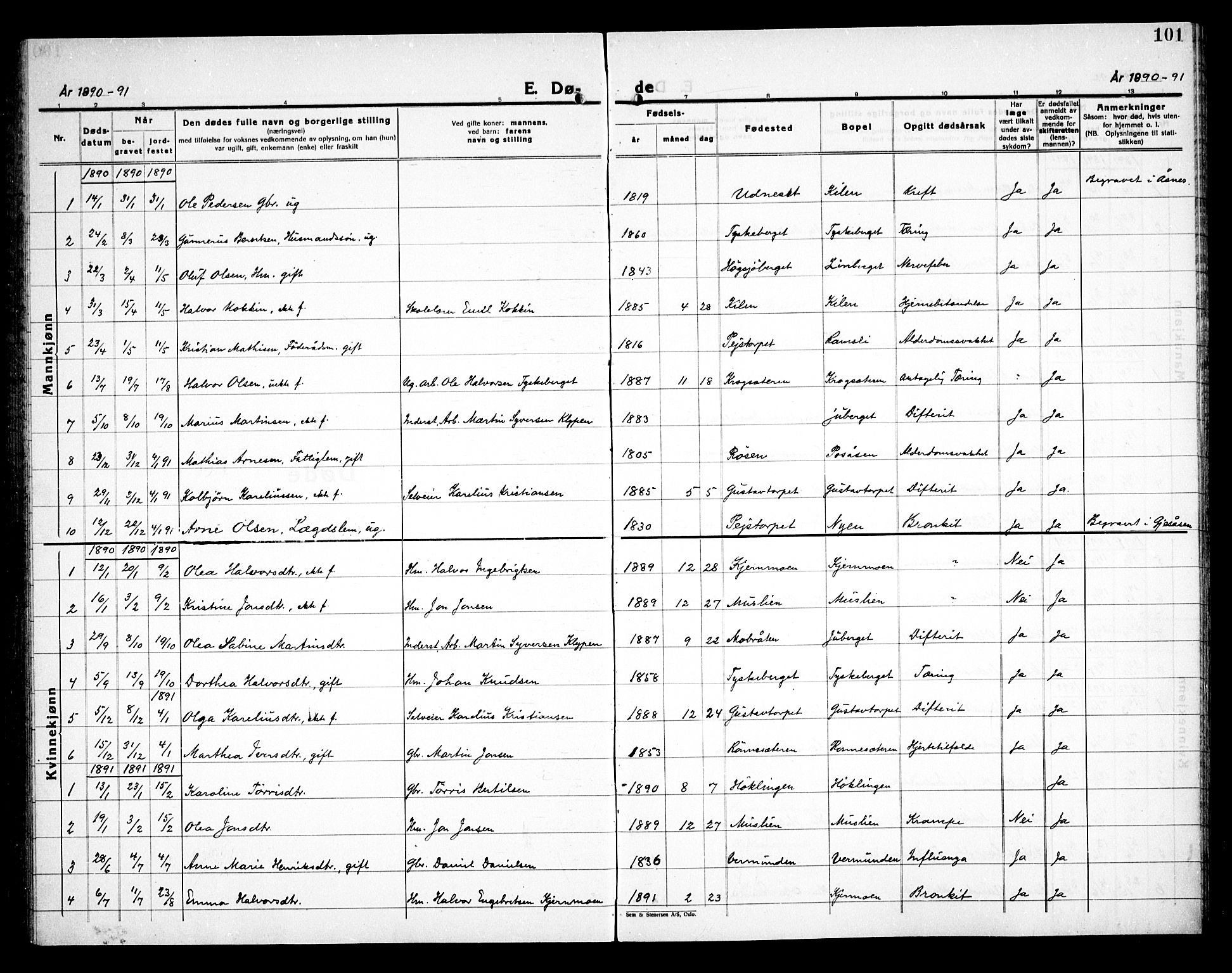 Åsnes prestekontor, AV/SAH-PREST-042/H/Ha/Haa/L0000E: Ministerialbok nr. 0C, 1890-1929, s. 101