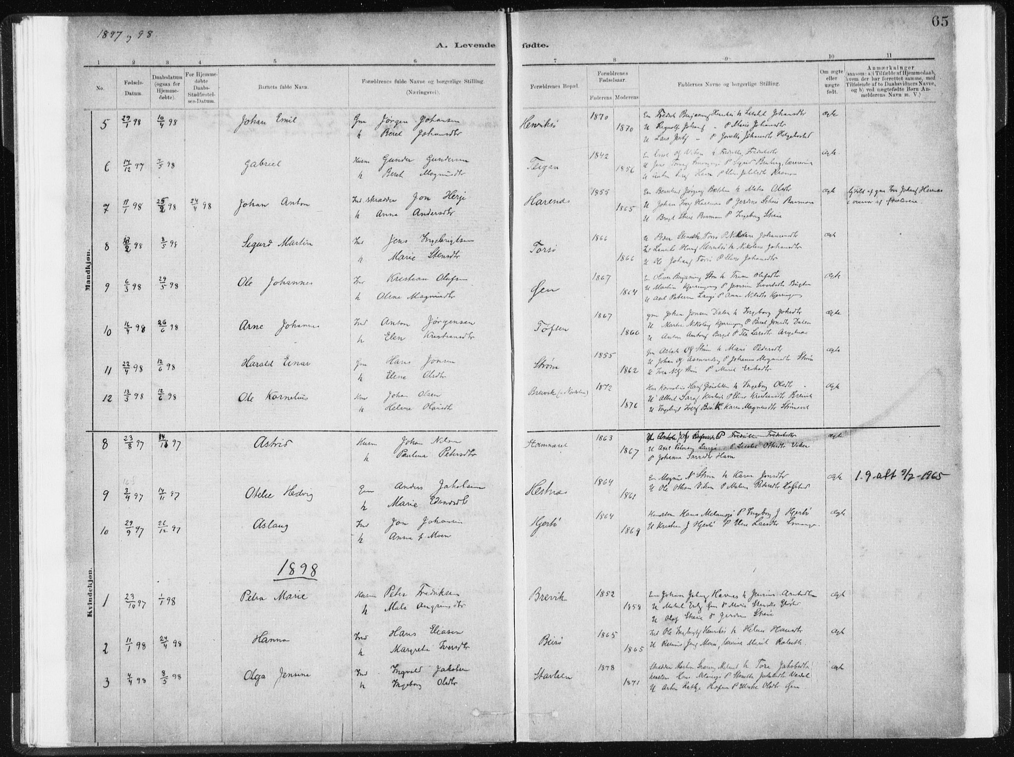 Ministerialprotokoller, klokkerbøker og fødselsregistre - Sør-Trøndelag, AV/SAT-A-1456/634/L0533: Ministerialbok nr. 634A09, 1882-1901, s. 65