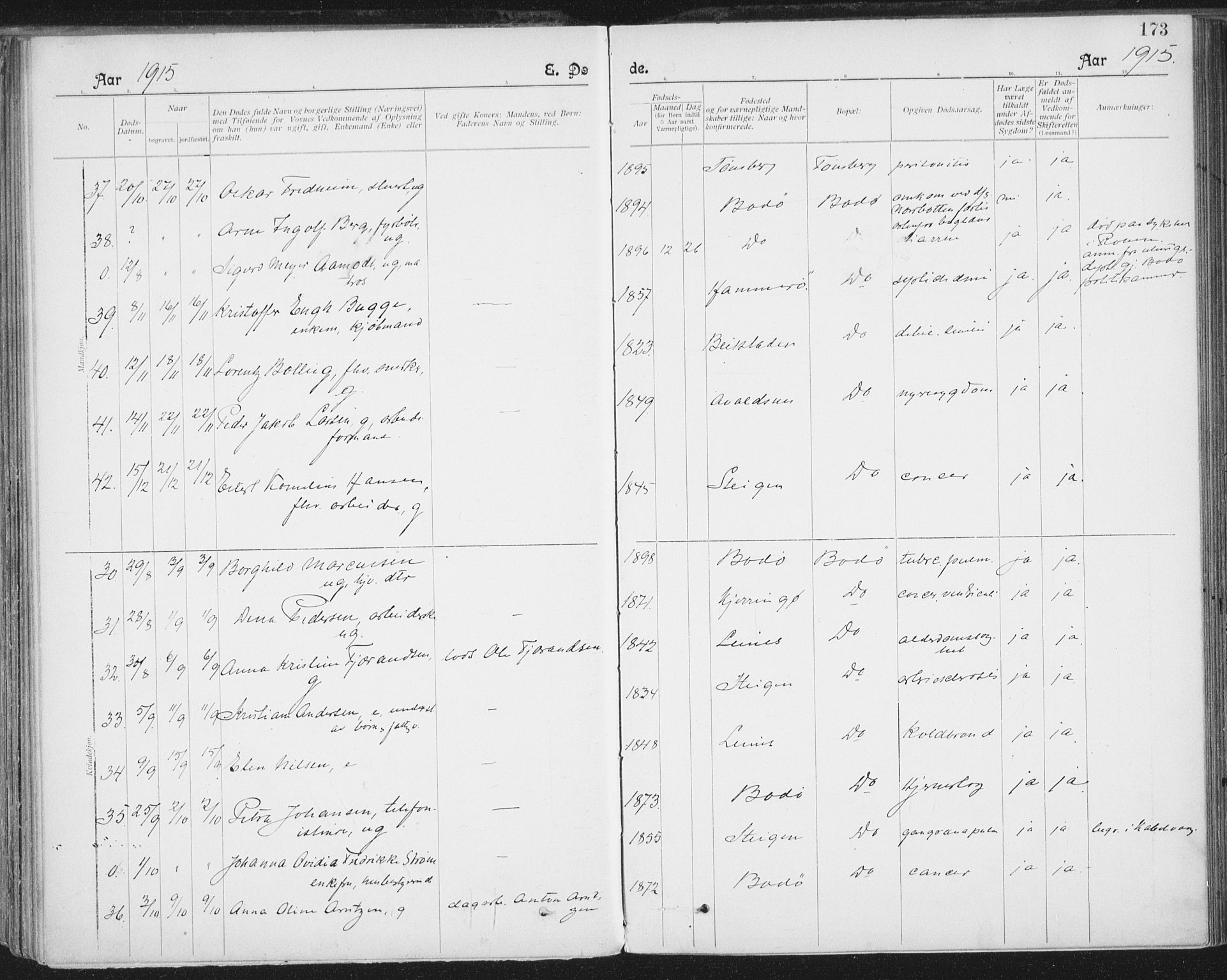 Ministerialprotokoller, klokkerbøker og fødselsregistre - Nordland, AV/SAT-A-1459/801/L0012: Ministerialbok nr. 801A12, 1900-1916, s. 173